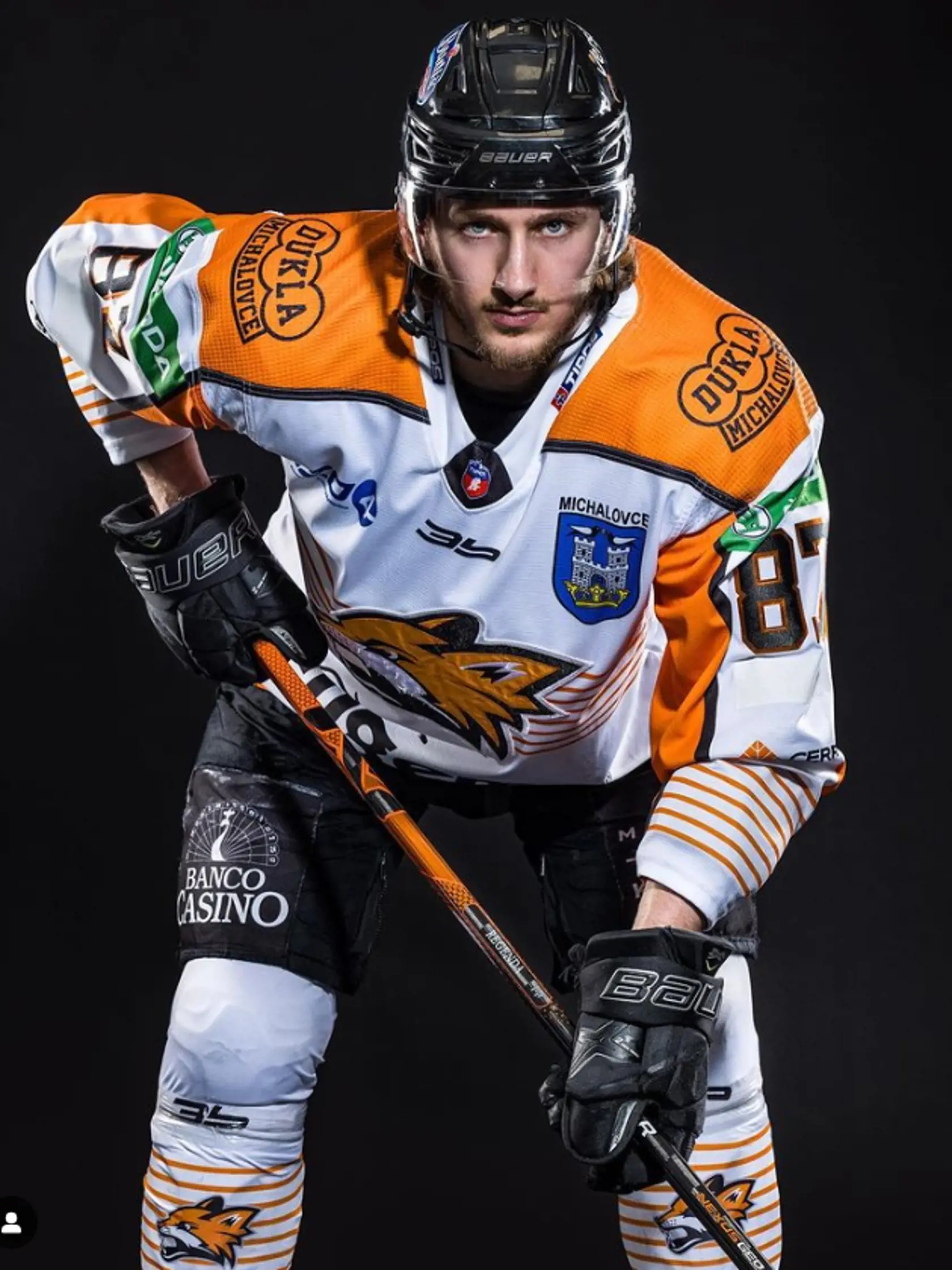 Profilovka HC v Michalovciach