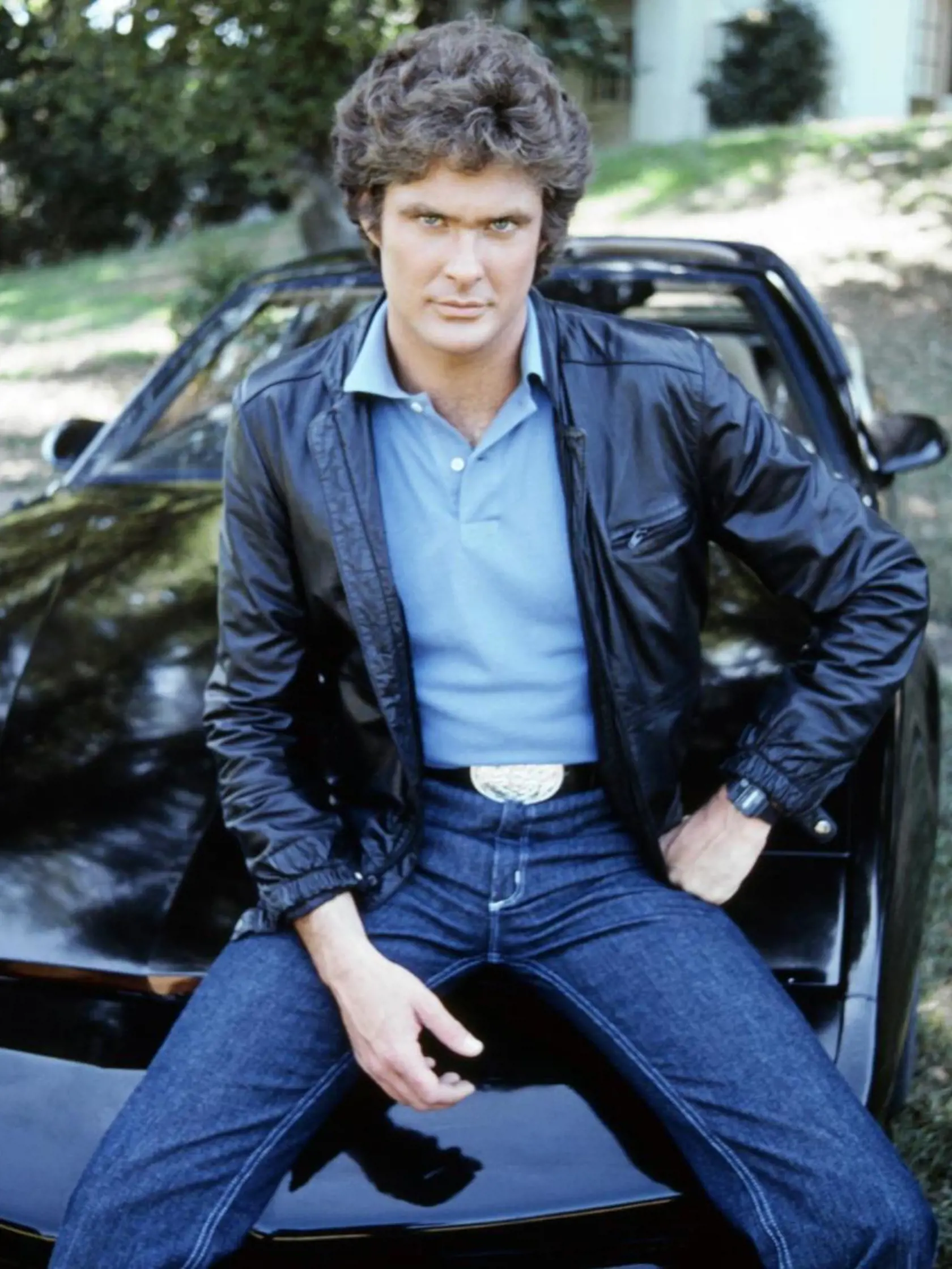 David Hasselhoff