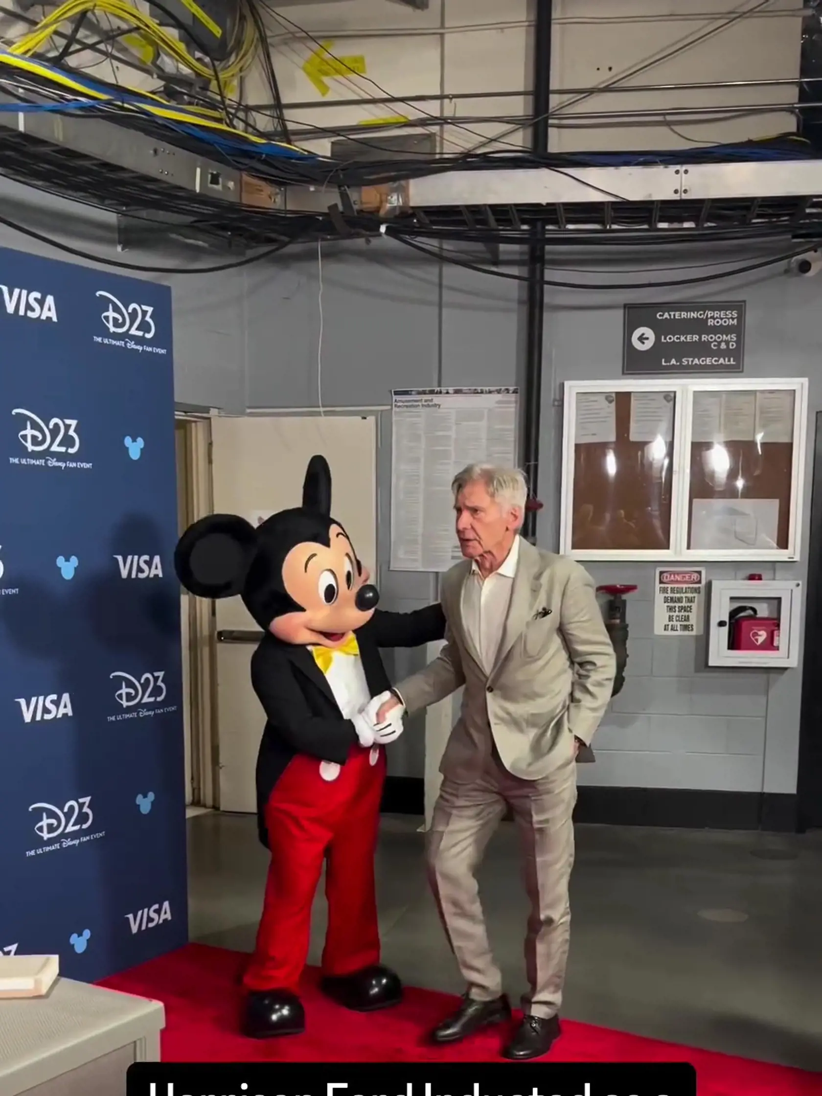 Harrison Ford získal cenu Legenda Disney.