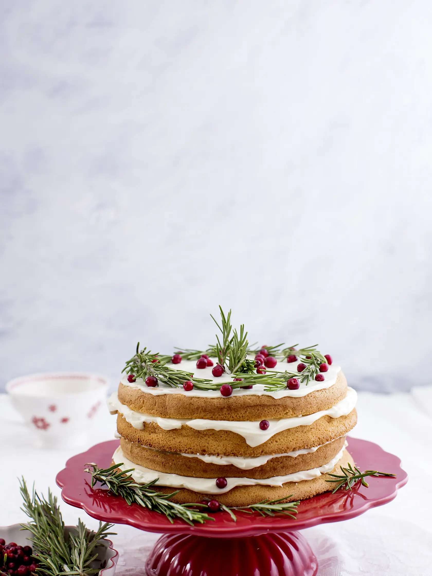 Brusnicová torta