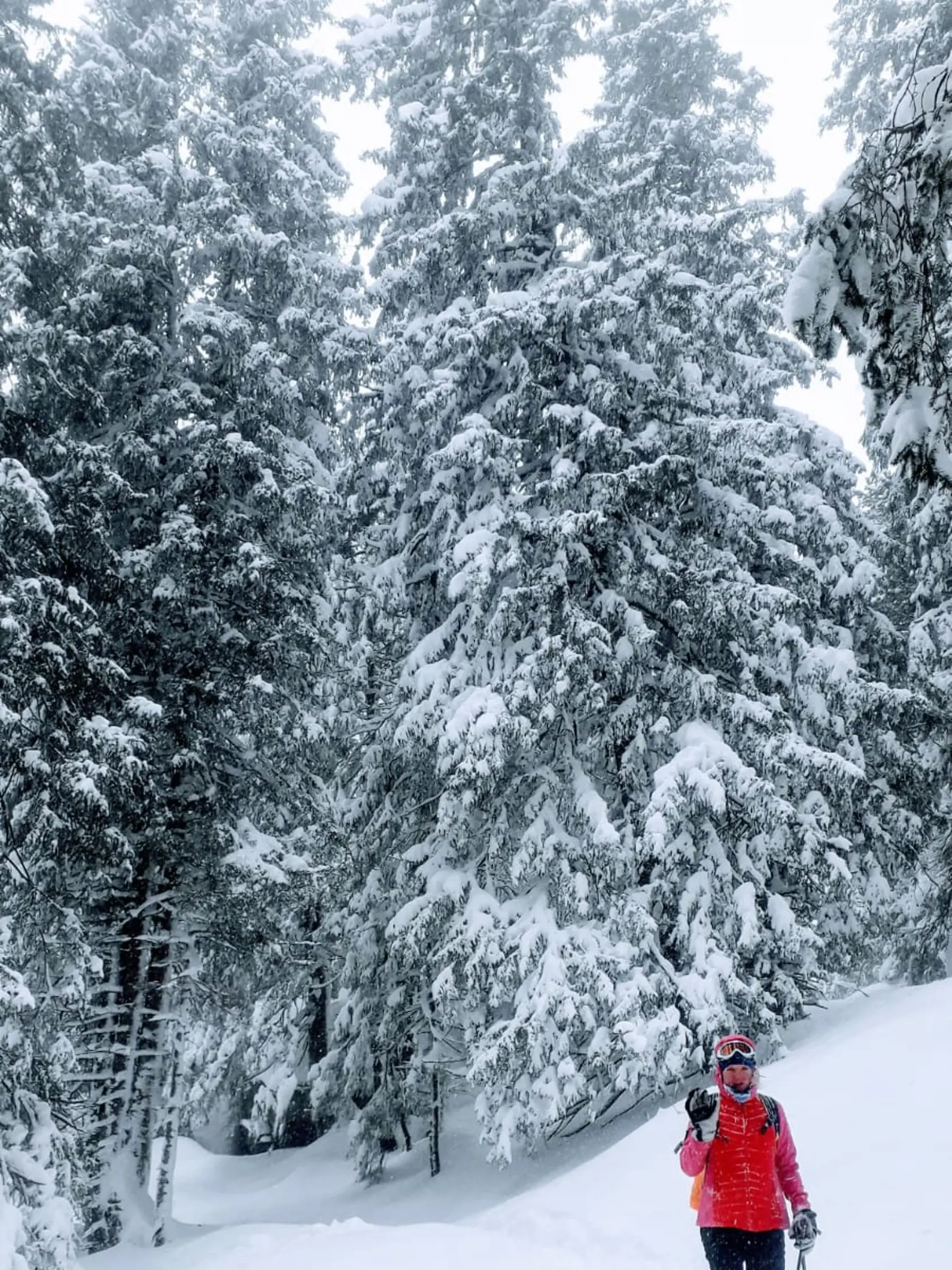 To je nádherná snehová krajina! Katarína Foltýnová takú zažila na ceste z Teryho chaty.