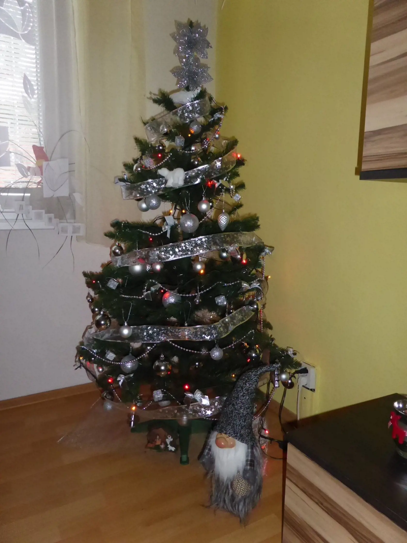 67. Michaela Medňanská z Nového Mesta nad Váhom
