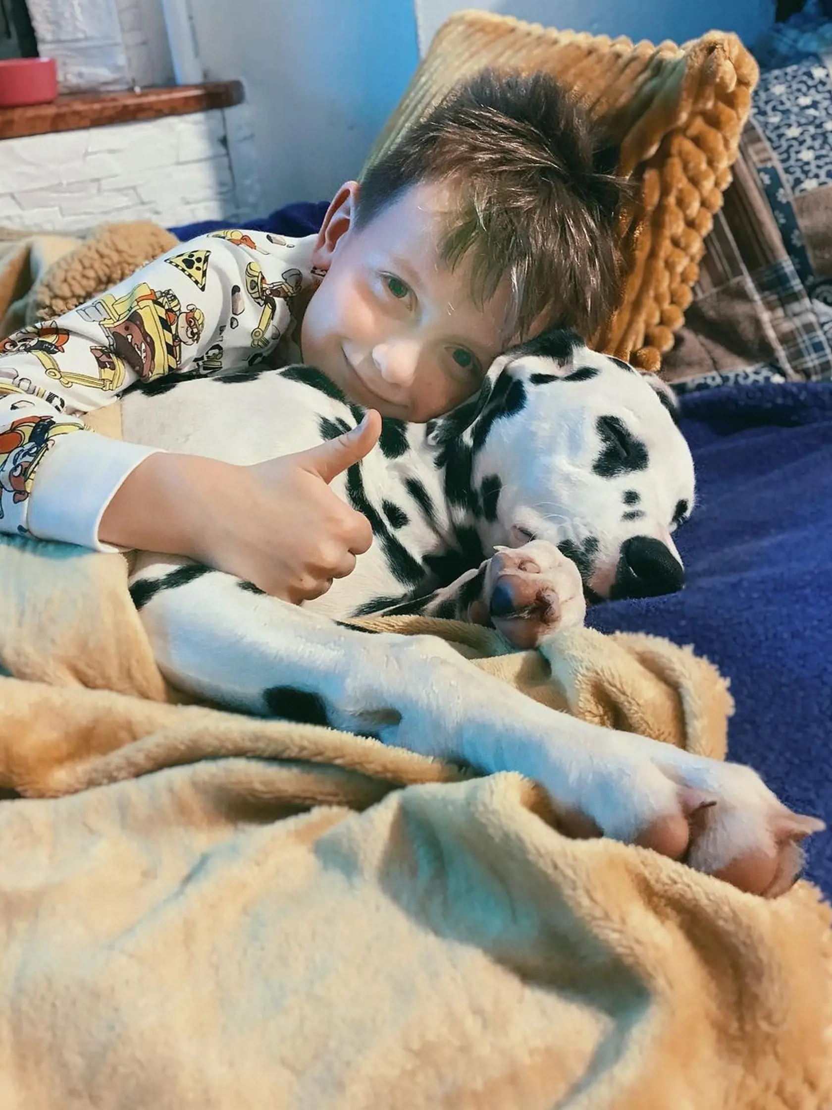 Pred trištvrte rokom pribudol do rodiny nový člen - dalmatínka Milly.