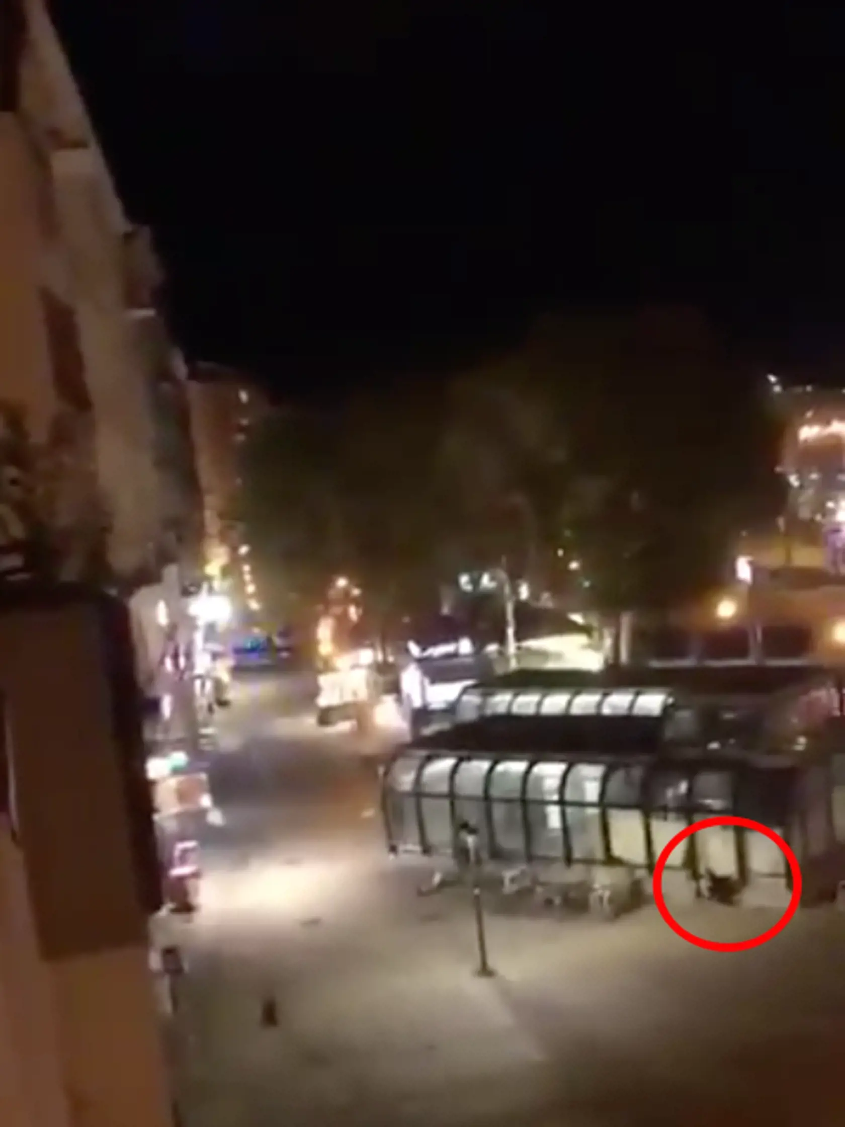 Na snímkach účastníci prestrelky vo Viedni. 
 Jeden človek streľbu neprežil, viacerí sú zranení.