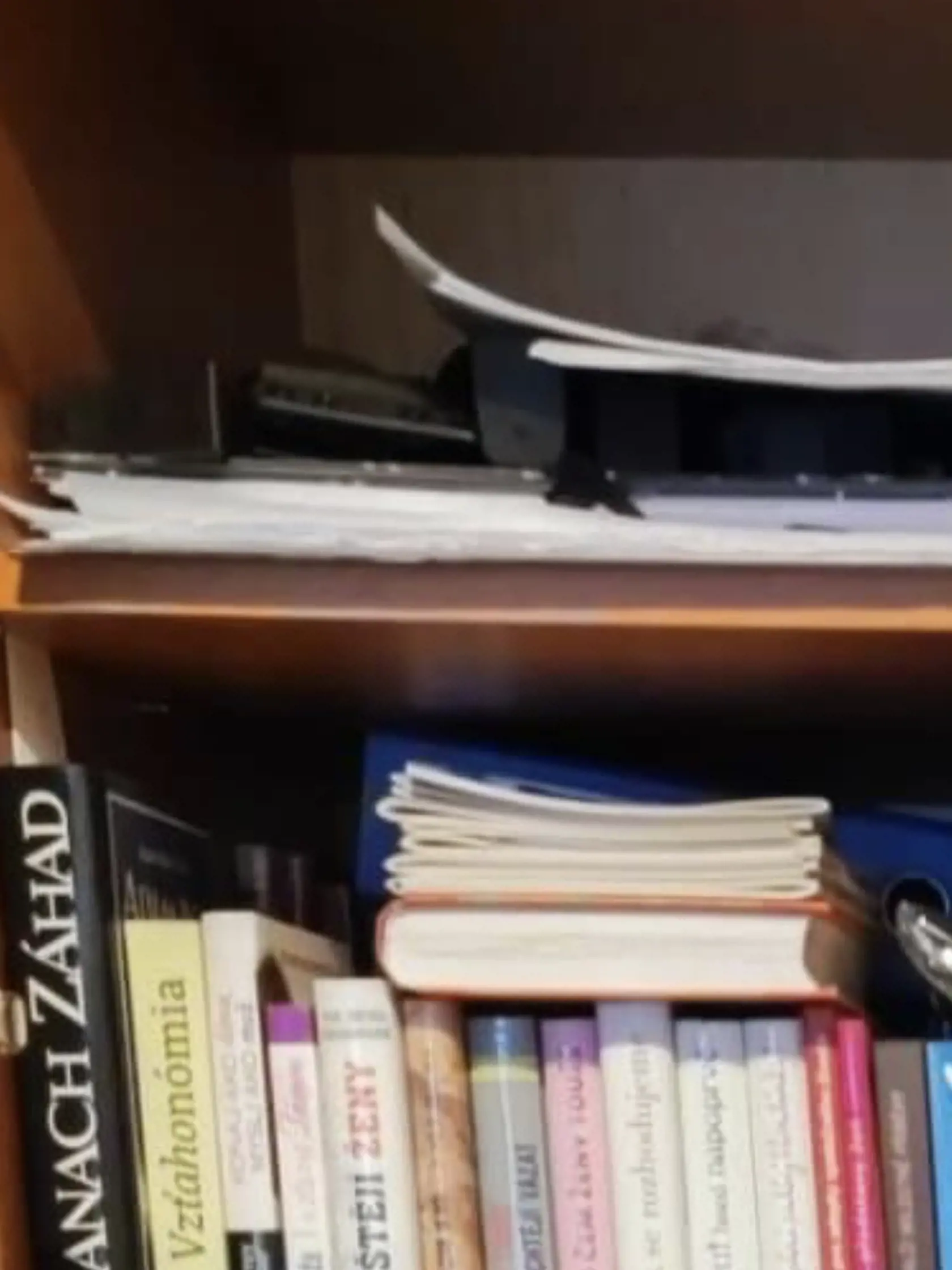 Vrah Vladimír (†34) bol milovníkom nielen zbraní a kriminalistickej literatúry, ale aj knihy so zaujímavým obsahom. Mnohé z nich sa venujú vzťahovým problémom medzi mužom a ženou, medzi nimi mal aj knihu s názvom Lolitky.