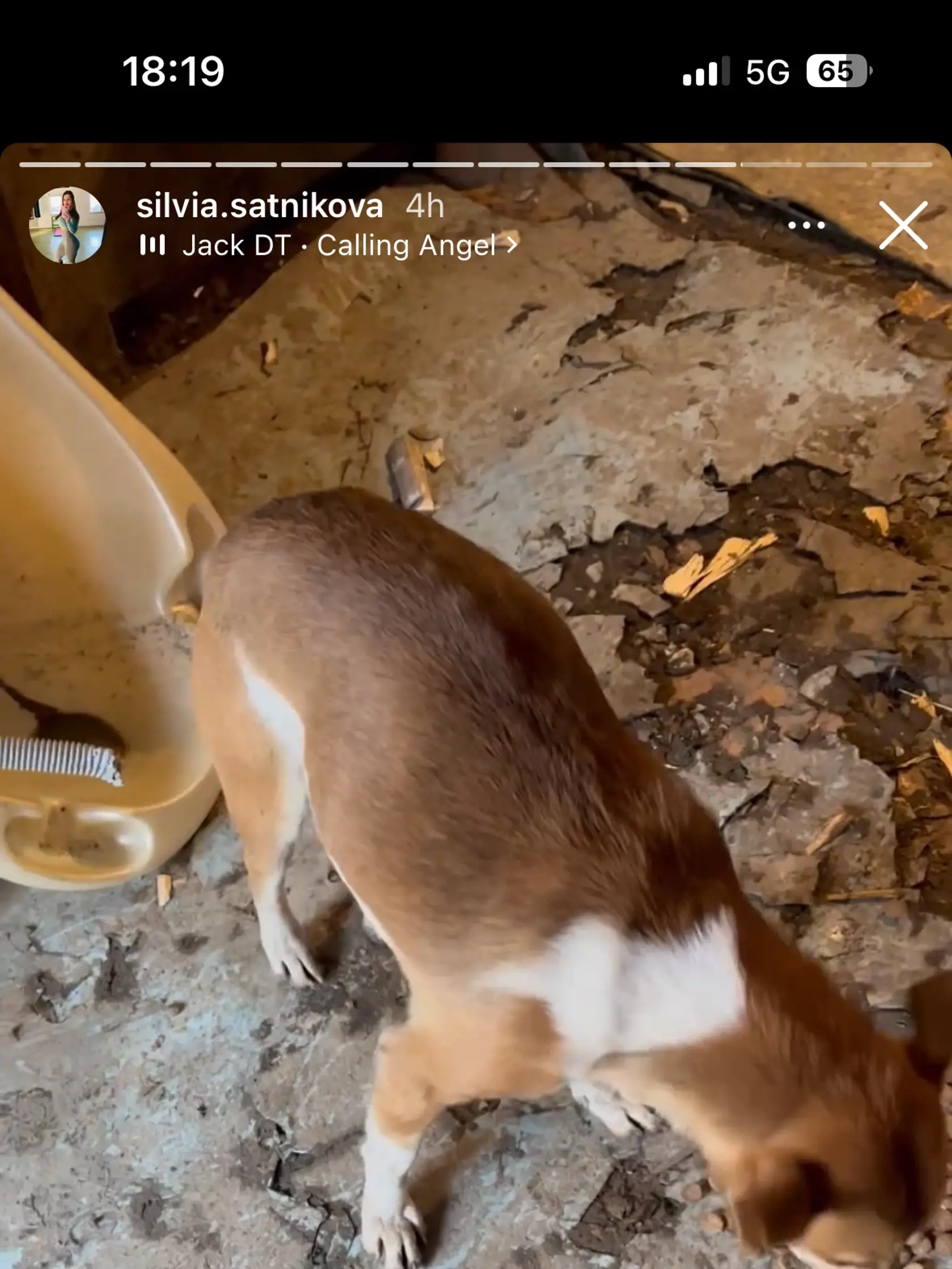 Silvia aj týmto konaním dokazuje, že má srdce na správnom mieste.