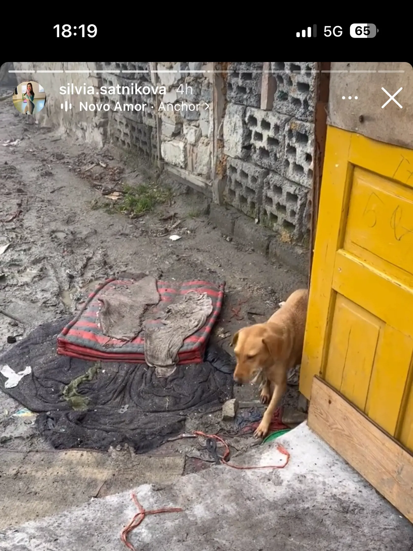 Do osady na prázdno Vanessina mama nechodí.