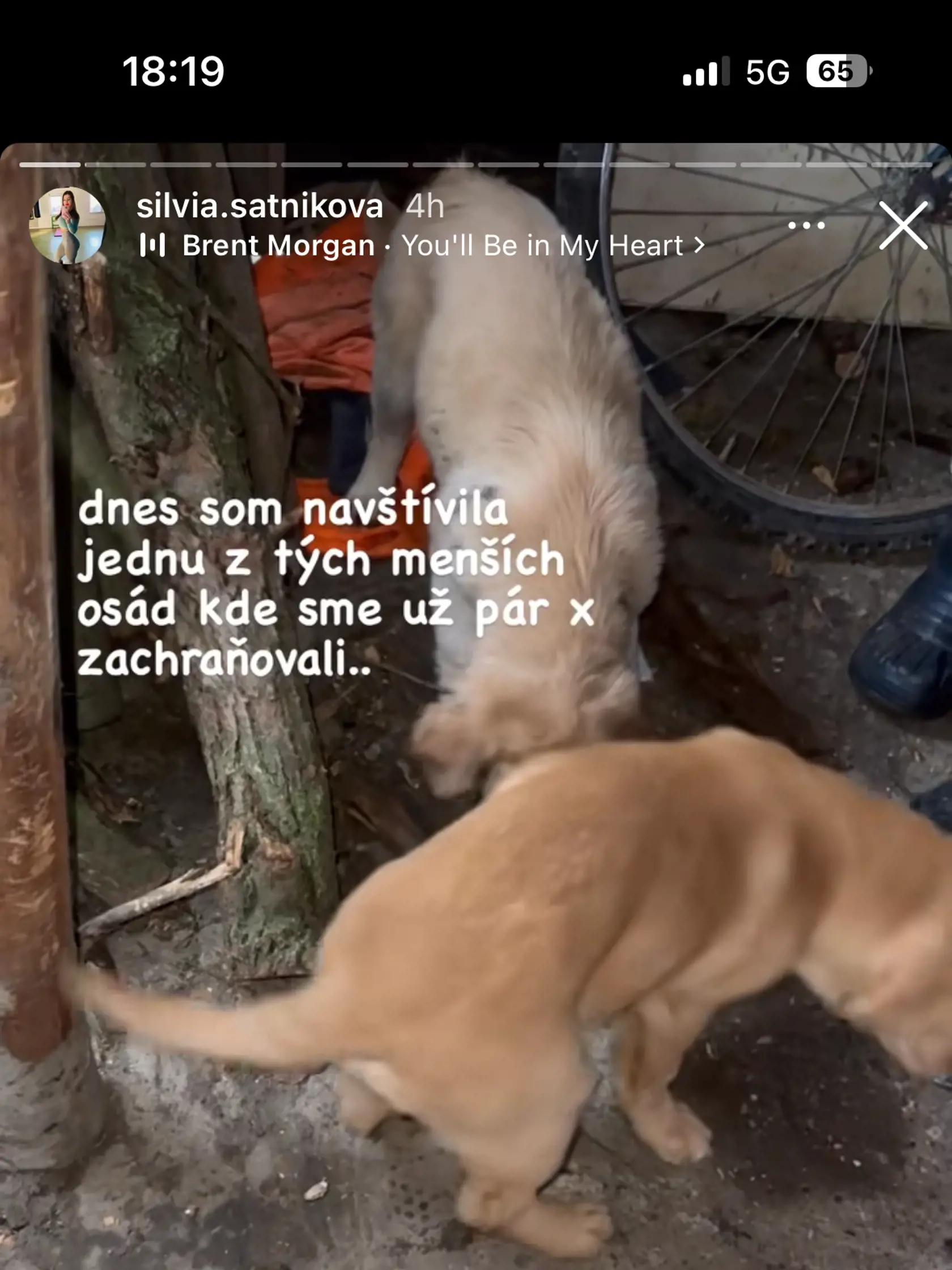 Kto vie, čo by si chlpáči bez dobrovoľníkov ako Silvia počali...