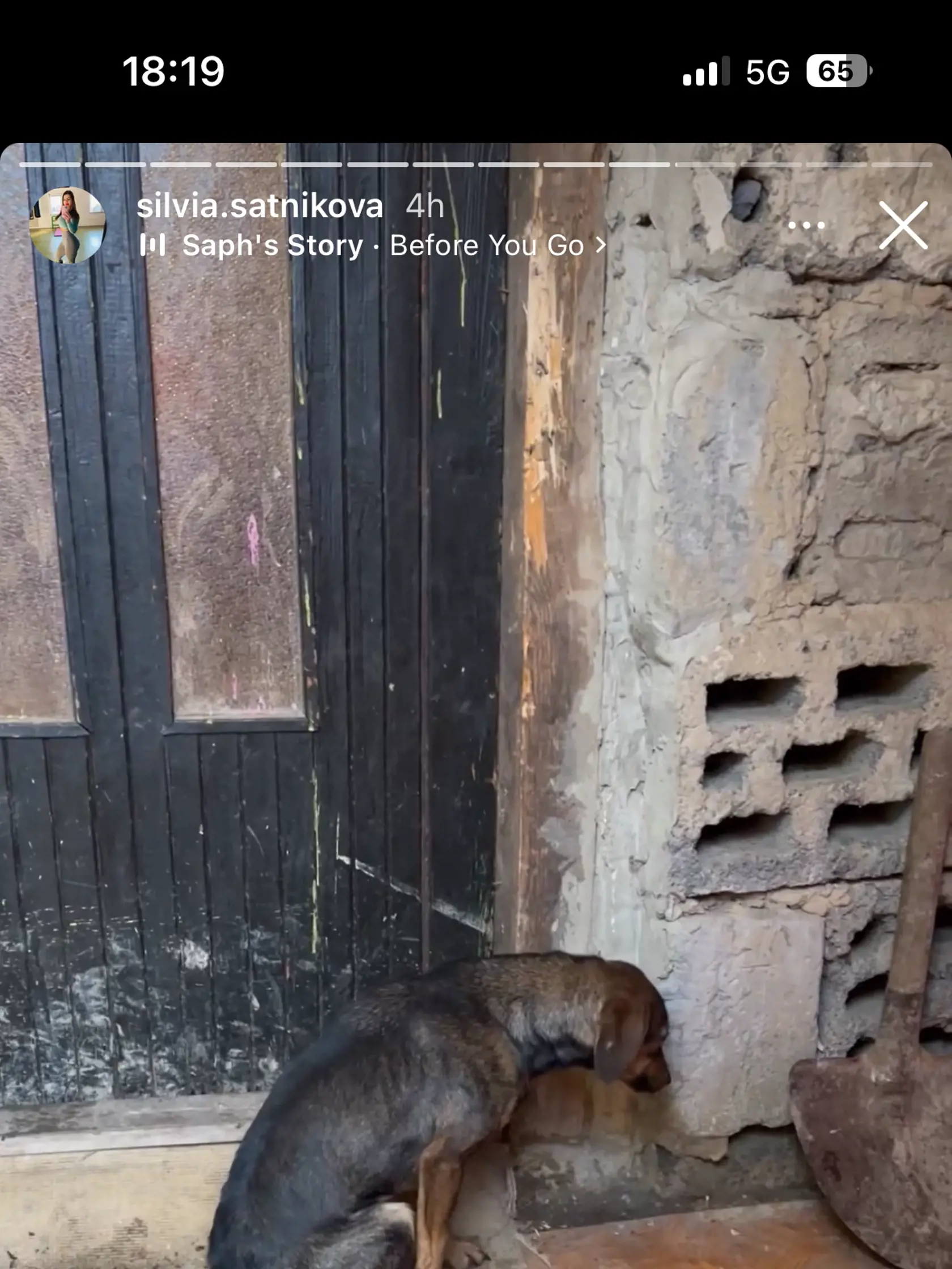 Na fotkách, ktoré zverejnila, bolo vidieť, že psy v osadách sa nemajú napriek obrovskej snahe dobrovoľníkov stále dobre.