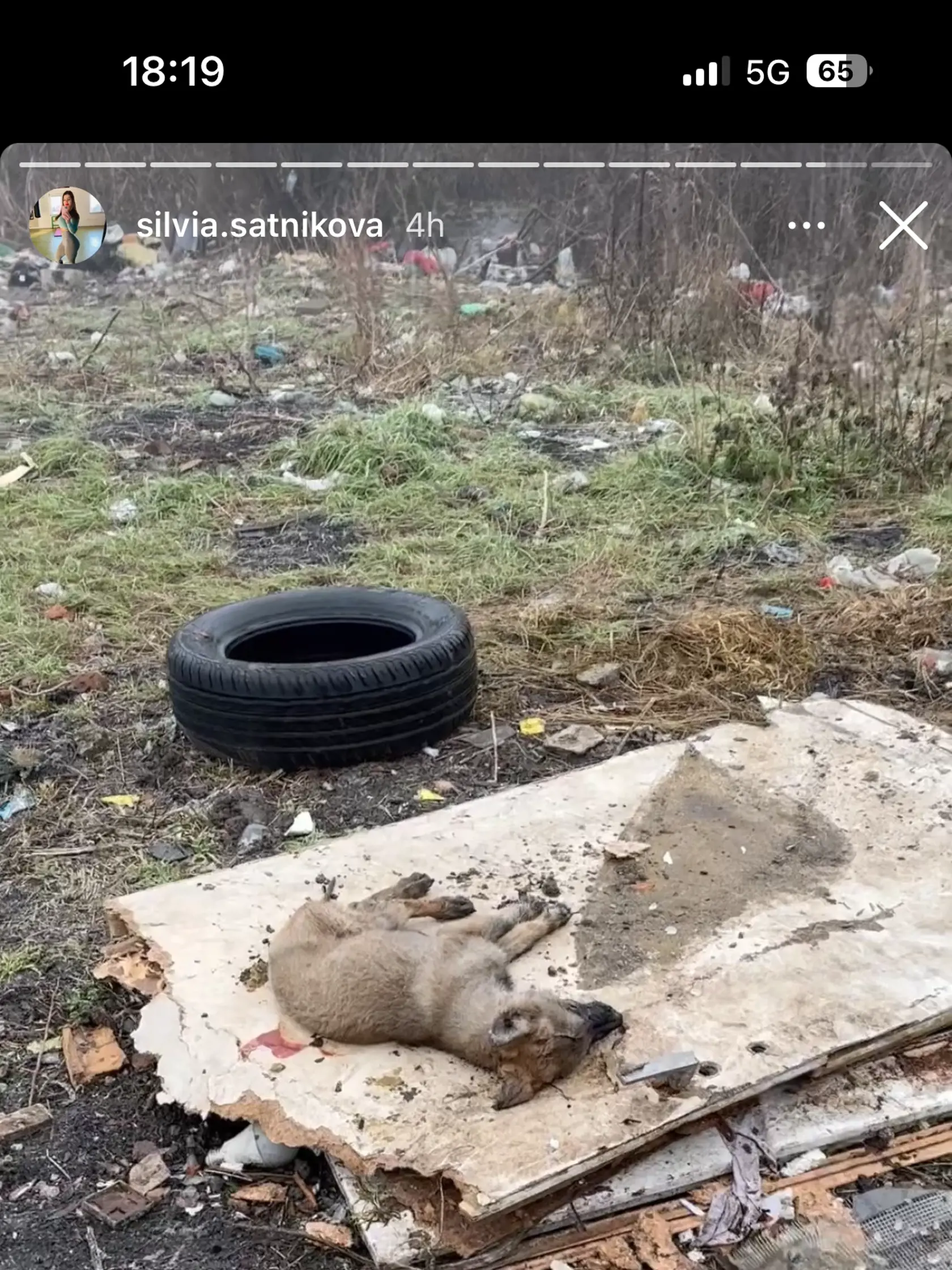 Pohľad, ktorý jej trhá srdce.