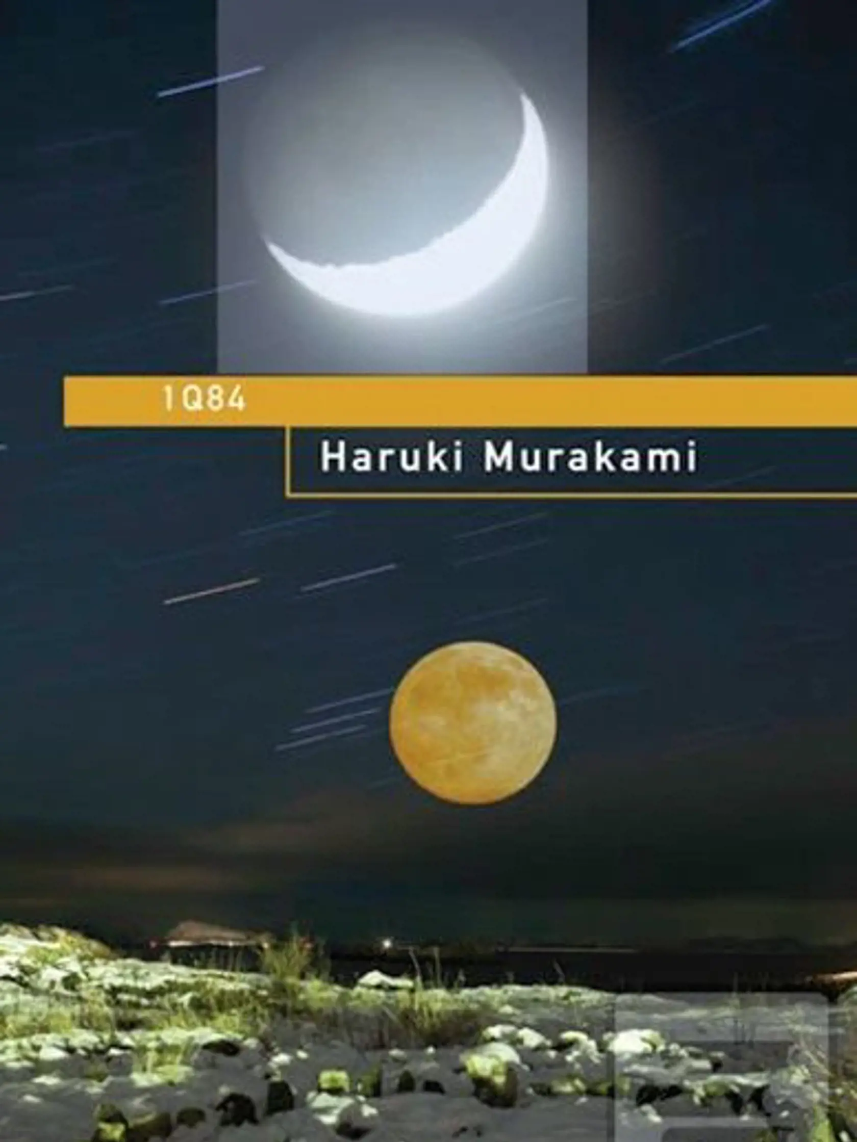 kniha Haruki Murakami: 1Q84