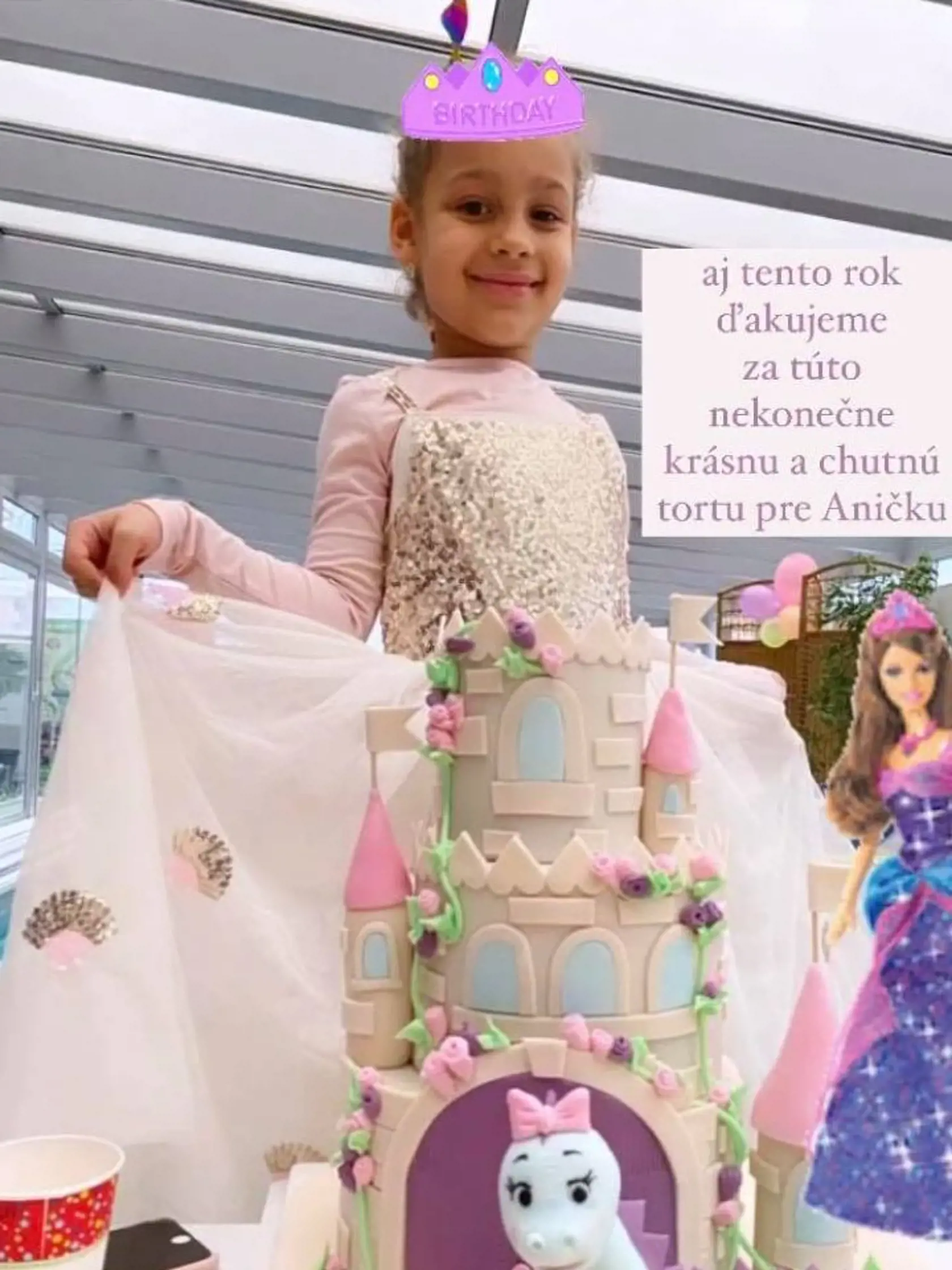 Tina vystrojila dcérke Aničke, ako ju familiárne volajú, okázalú oslavu 6. narodenín.