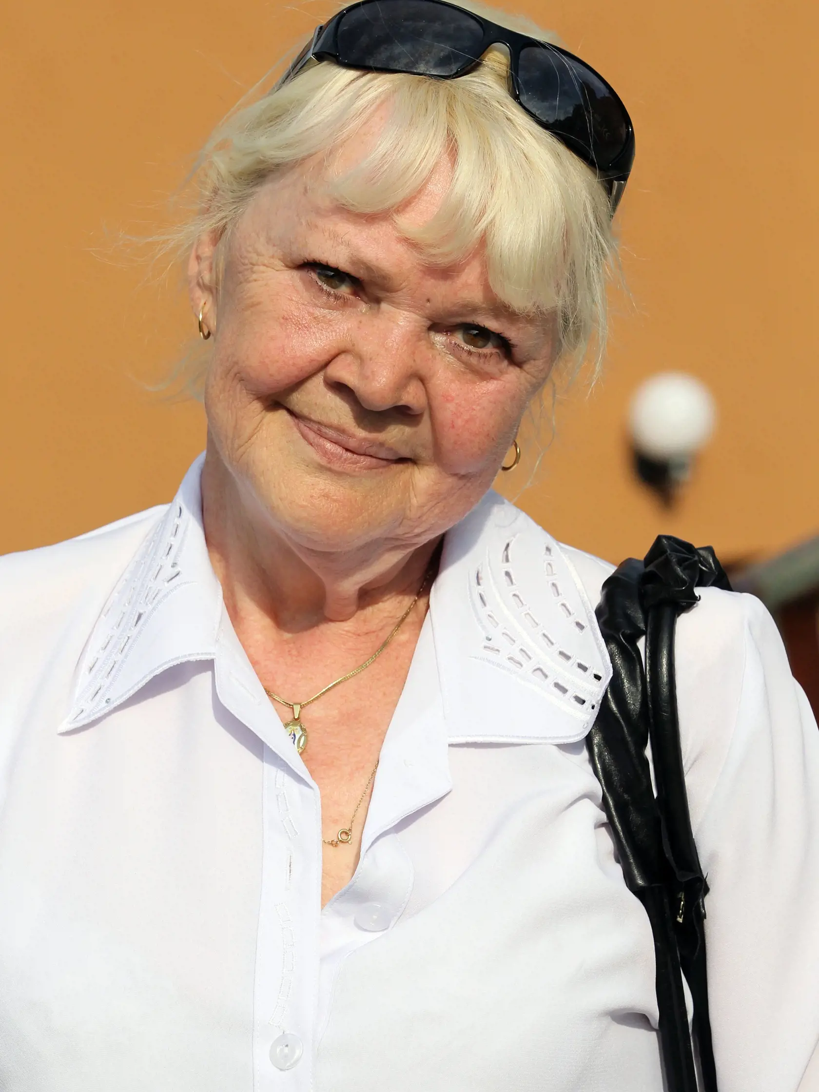 So sestrou sa neznášali: Brejchová je roky rozhádaná se sestrou Hanou. Tá dostala v roku 1966 hlavnú rolu vo Formanovom filme Lásky jednej plavovlásky. Jana bola do režiséra zamilovaná a sestru podozrievala, že ho zvádza.