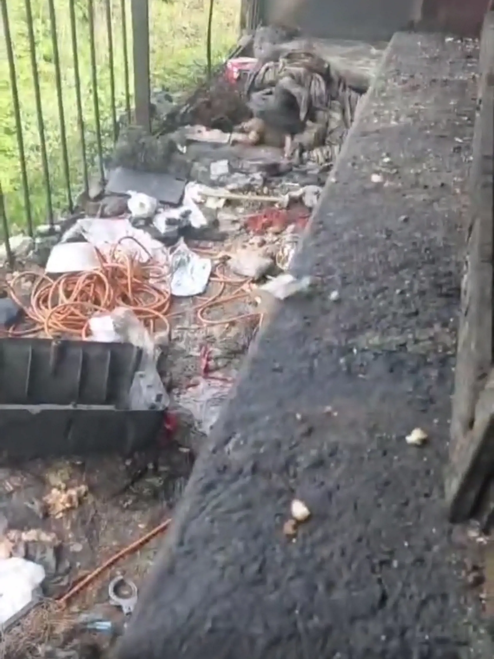 V takomto bordeli, špine, smrade a vo vlastných výkaloch na balkóne košického sídliska Luník IX žil úbohý Jessie štyri roky.