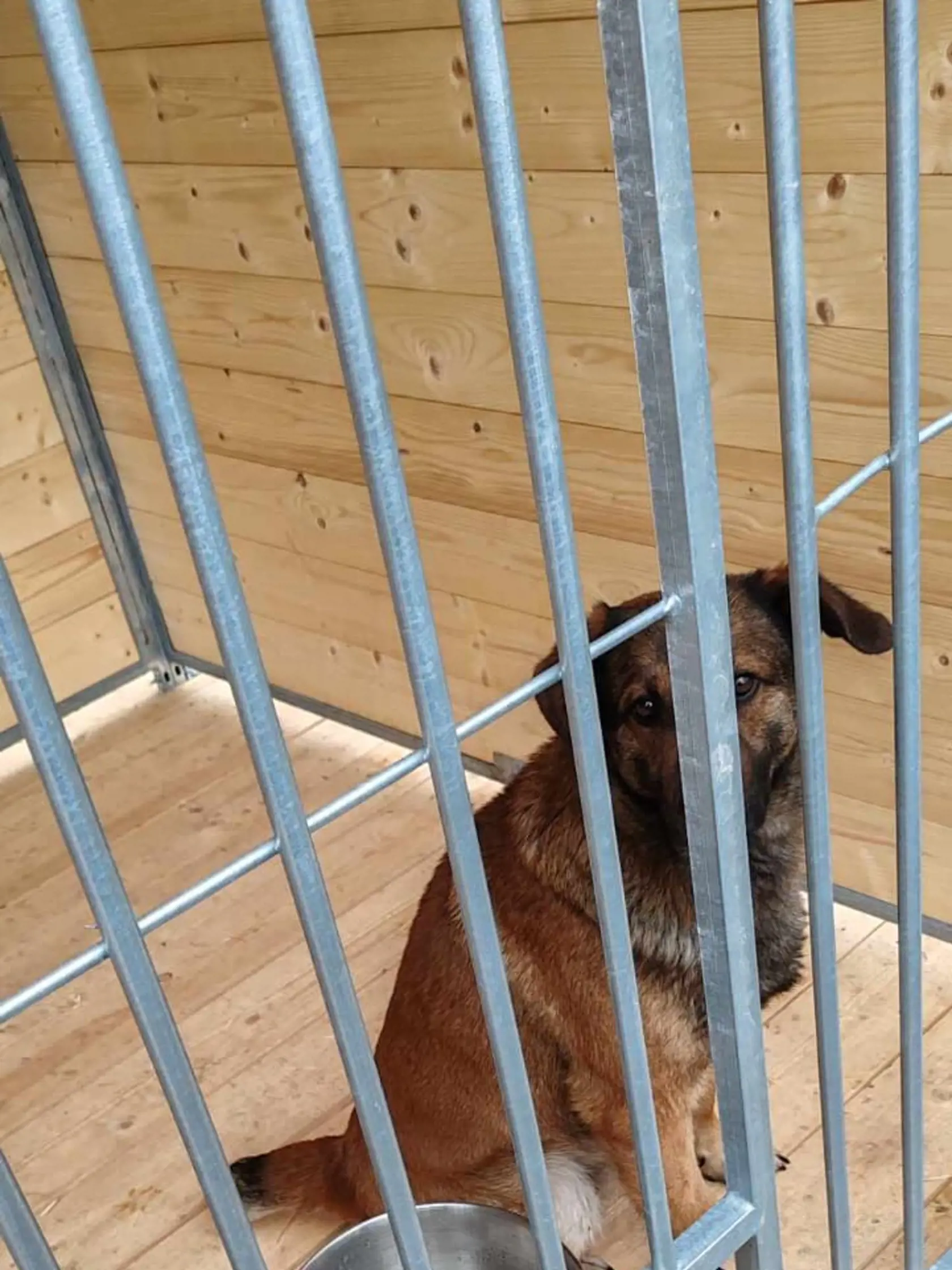 Ten pohľad... Jessie sa pomaly učí dôverovať ľuďom.