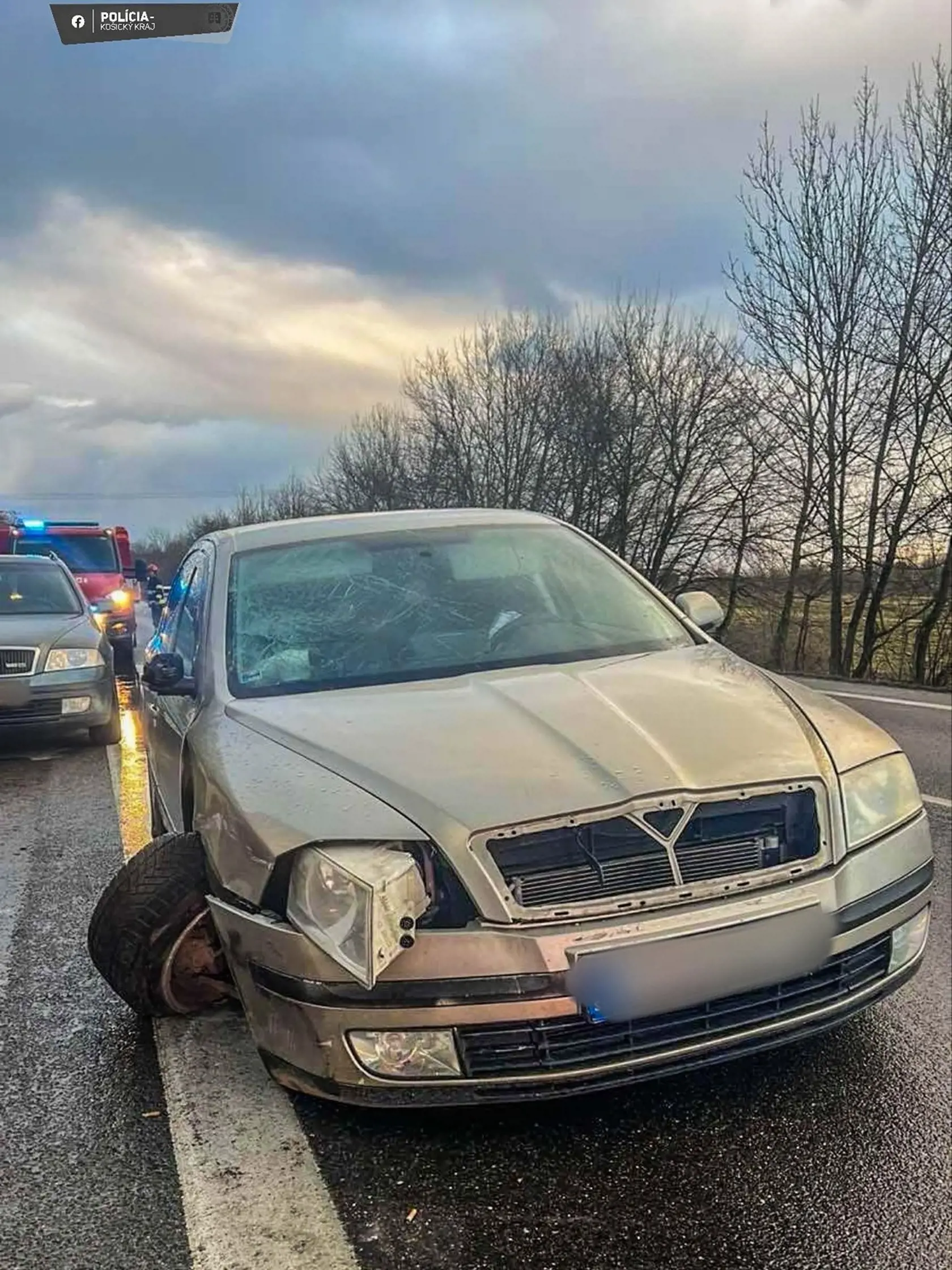 Takto mal "vodič drevorubač" naložené osobné auto.