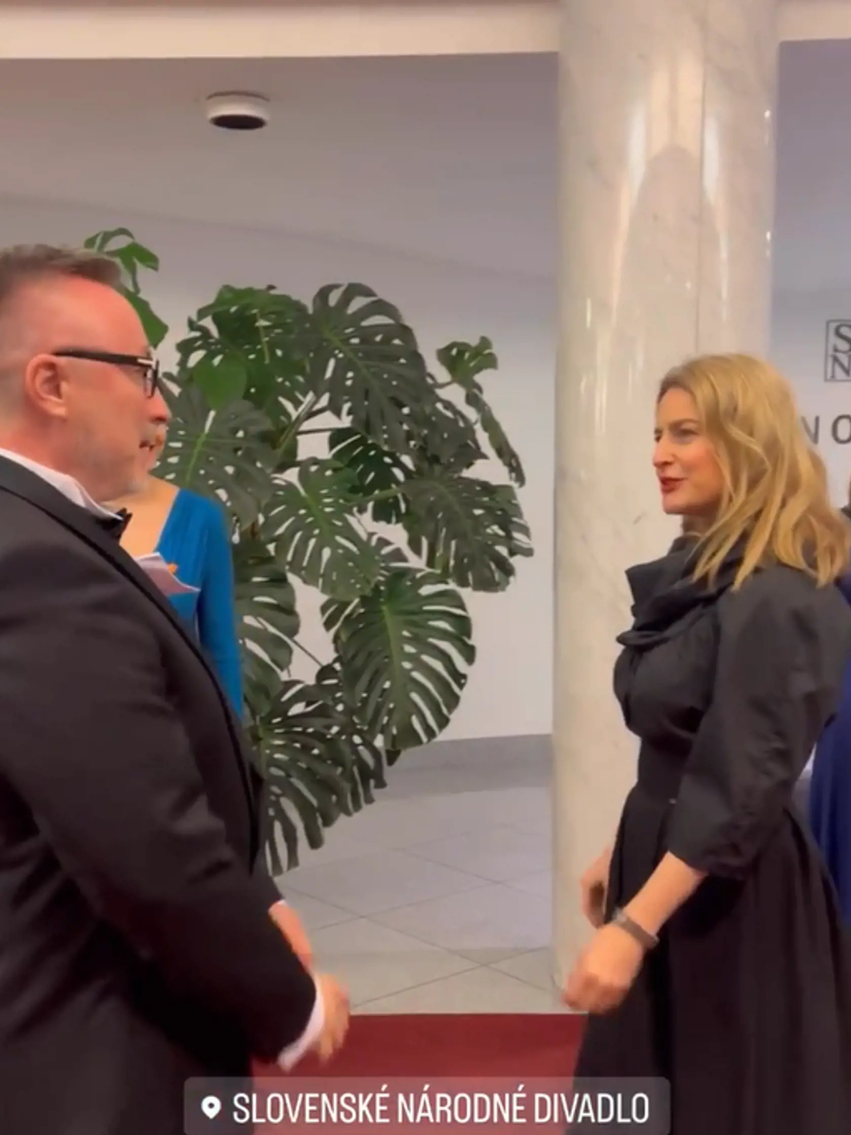 Ministerka kultúry Milanová sa zúčastnila aj slávnostného koncertu organizovanom v novej budove SND pri príležitosti štátnej návštevy holandského kráľovského páru. Milanová si zvolila zaujímavý model čiernych večerných šiat. Objemná sukňová časť bola doplnená o elegantný opasok okolo pásu, ktorý pekne formoval postavu. Čo sa týka makeupu, ministerka stavila na sexy červený rúž v kombinácii s decentným líčením.