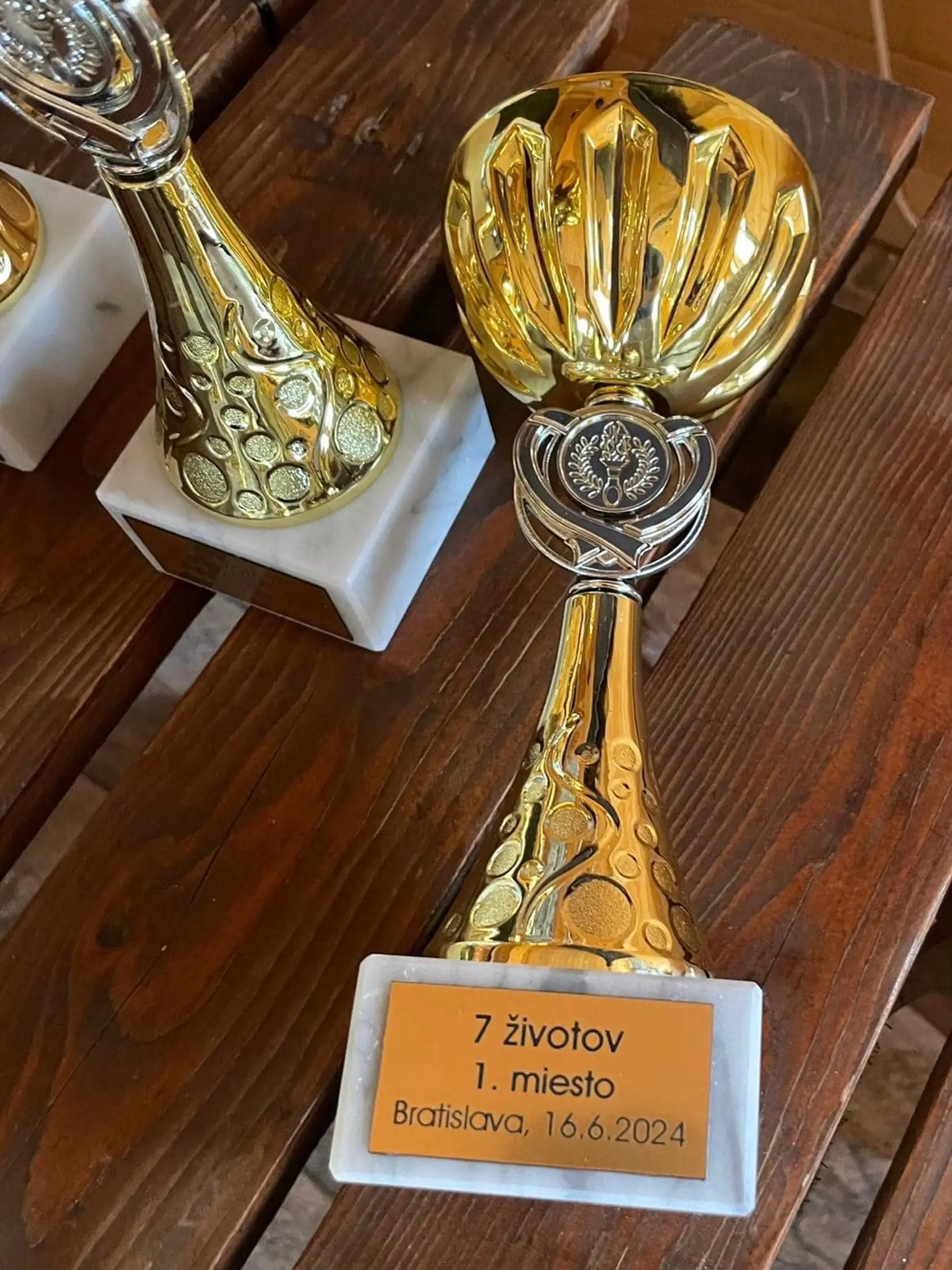 Na Barborkinu počesť sa uskutočnil 16. júna tenisový turnaj Sedem životov v areáli tenisového klubu Dúbravka v Bratislave.