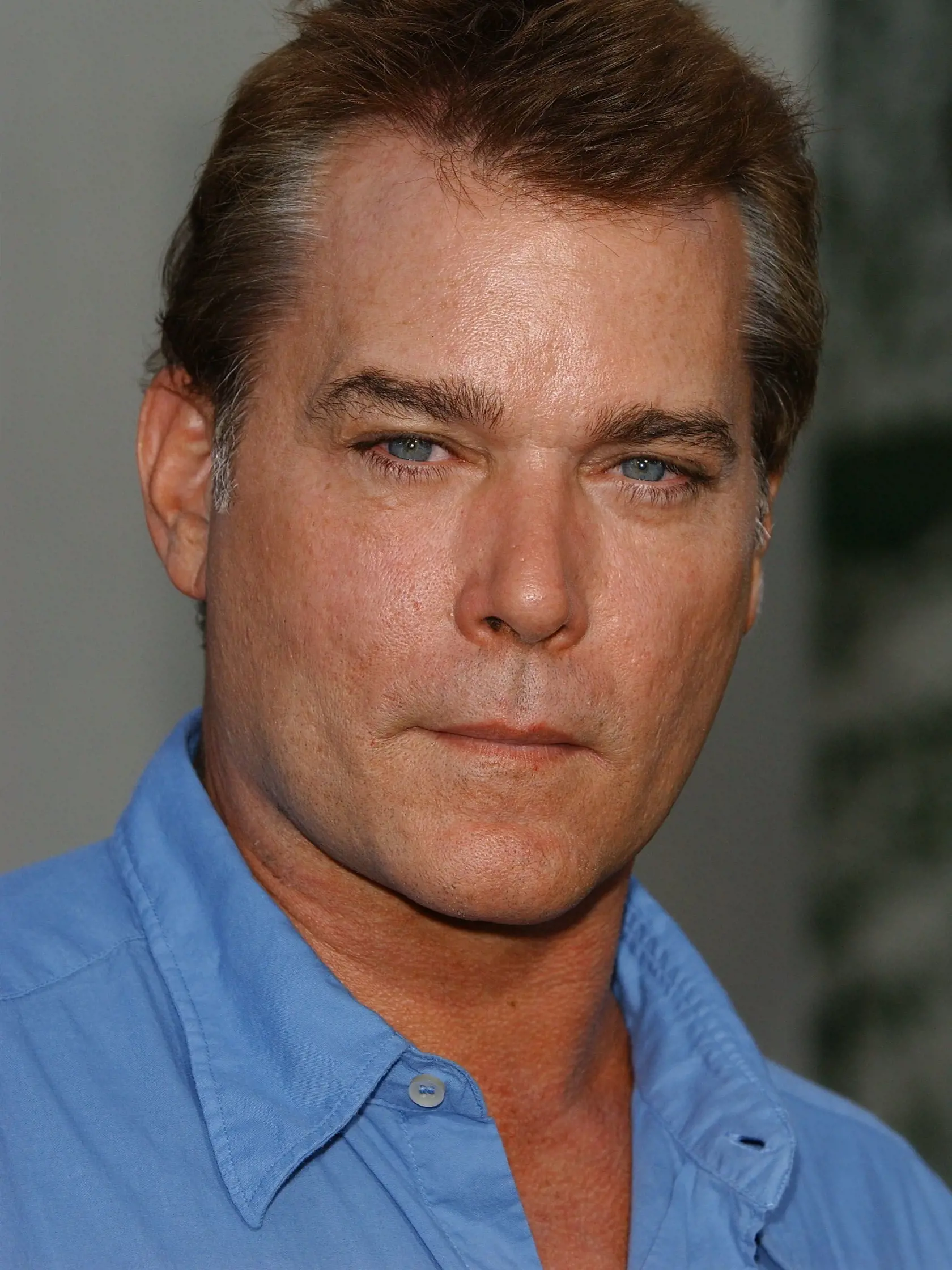 Ray Liotta v roku 2004.