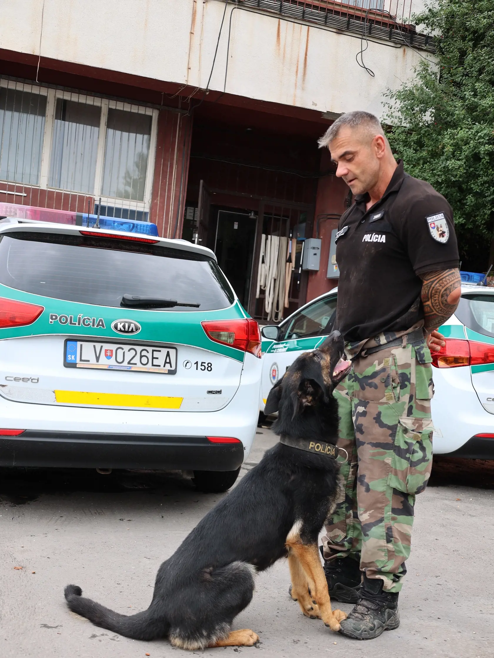“Ráno príde kynológ do roboty, musí sa postarať o psíkov, musí ich vyvenčiť a skontrolovať, či sú všetky vporiadku. Potom sa robí výcvik a ten sa rozlišuje podľa toho, či ide o tzv. “klasikára” alebo “špecialkára”,” ozrejmuje Vasaráb.