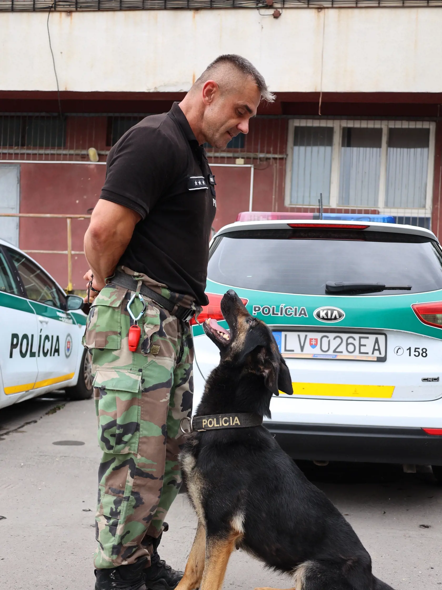 Robota policajného kynológa spočíva vo výcviku psa, v starostlivosti oňho a napokon nastupuje finálna fáza, v rámci ktorej idú na miesto a riešia konkrétne prípady.
