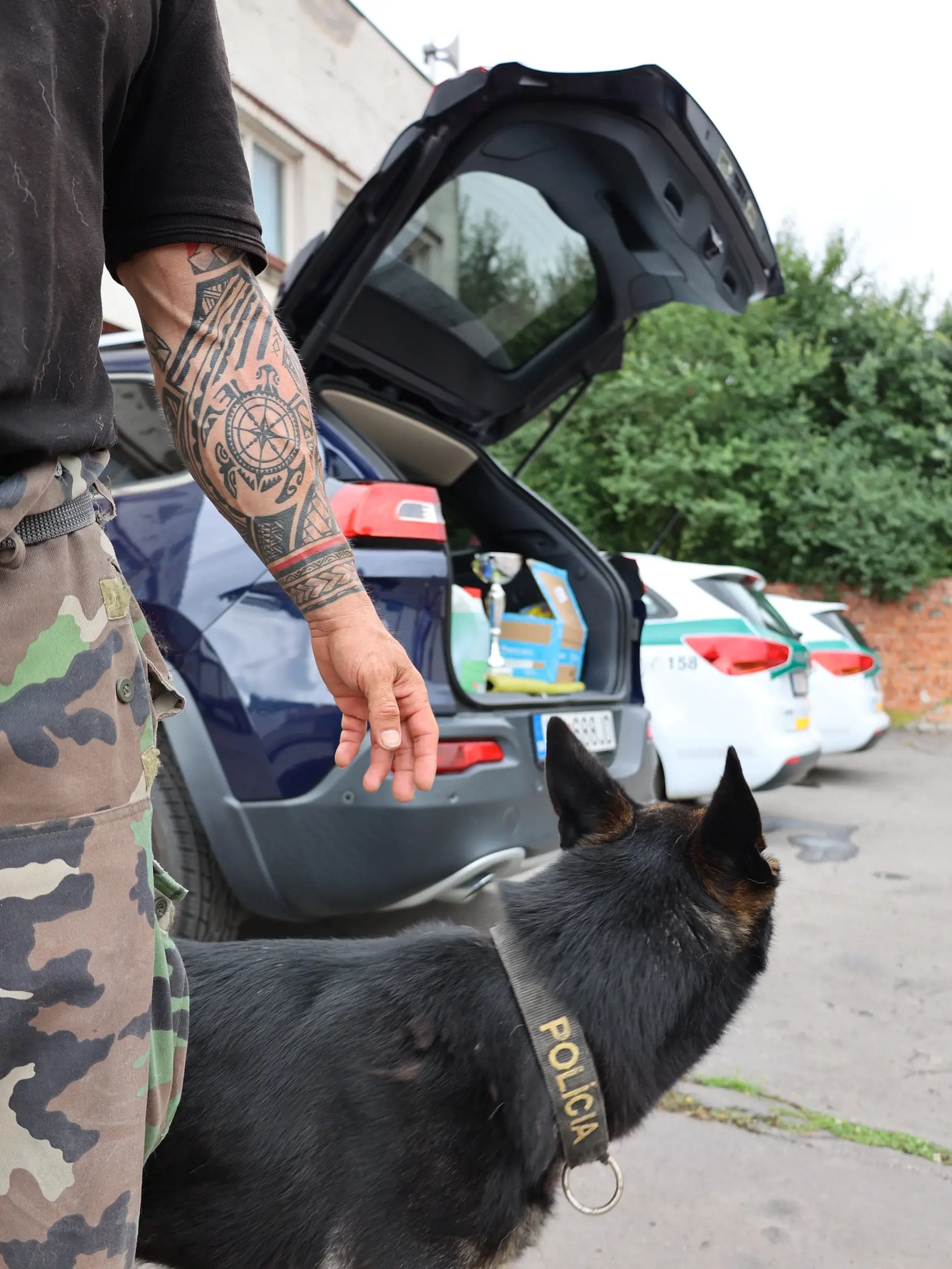 Významné úspechy žne po celom svete! Na jednej strane vzbudzuje, nielen vďaka svojej telesnej schránke, rešpekt, no na druhej strane vás odzbrojí svojím láskavým prístupom k zvieratám.