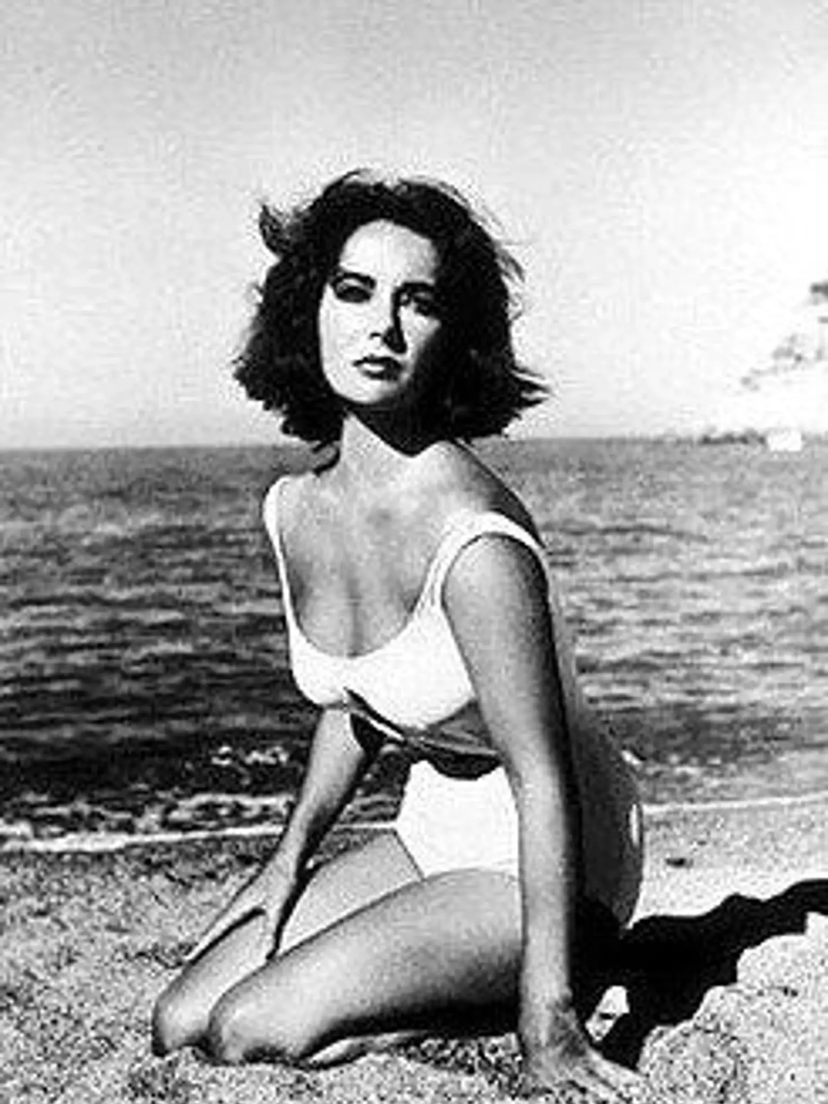 Suddenly, Last Summer 1959