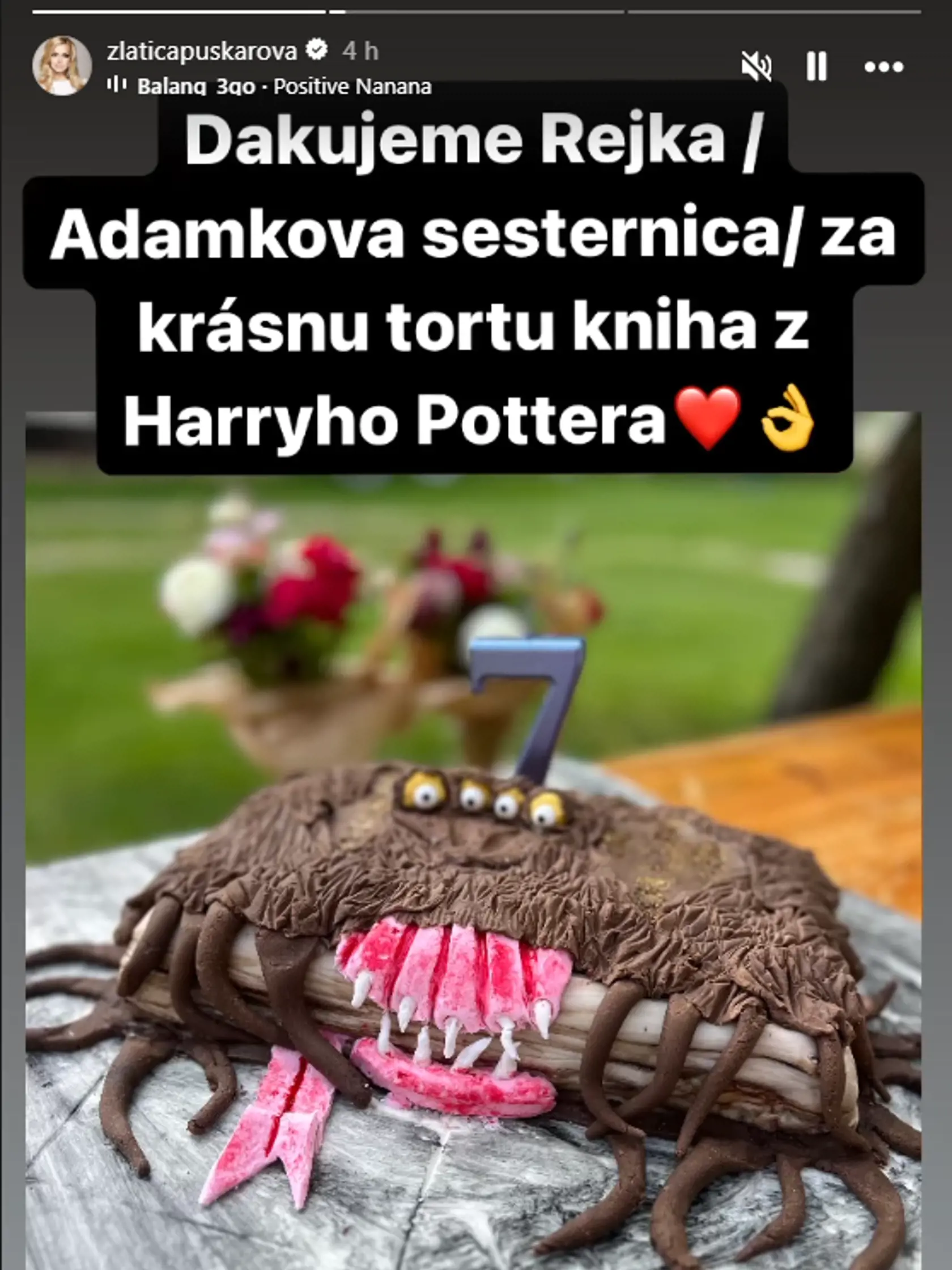 Takúto tortu dostal k narodeninám.