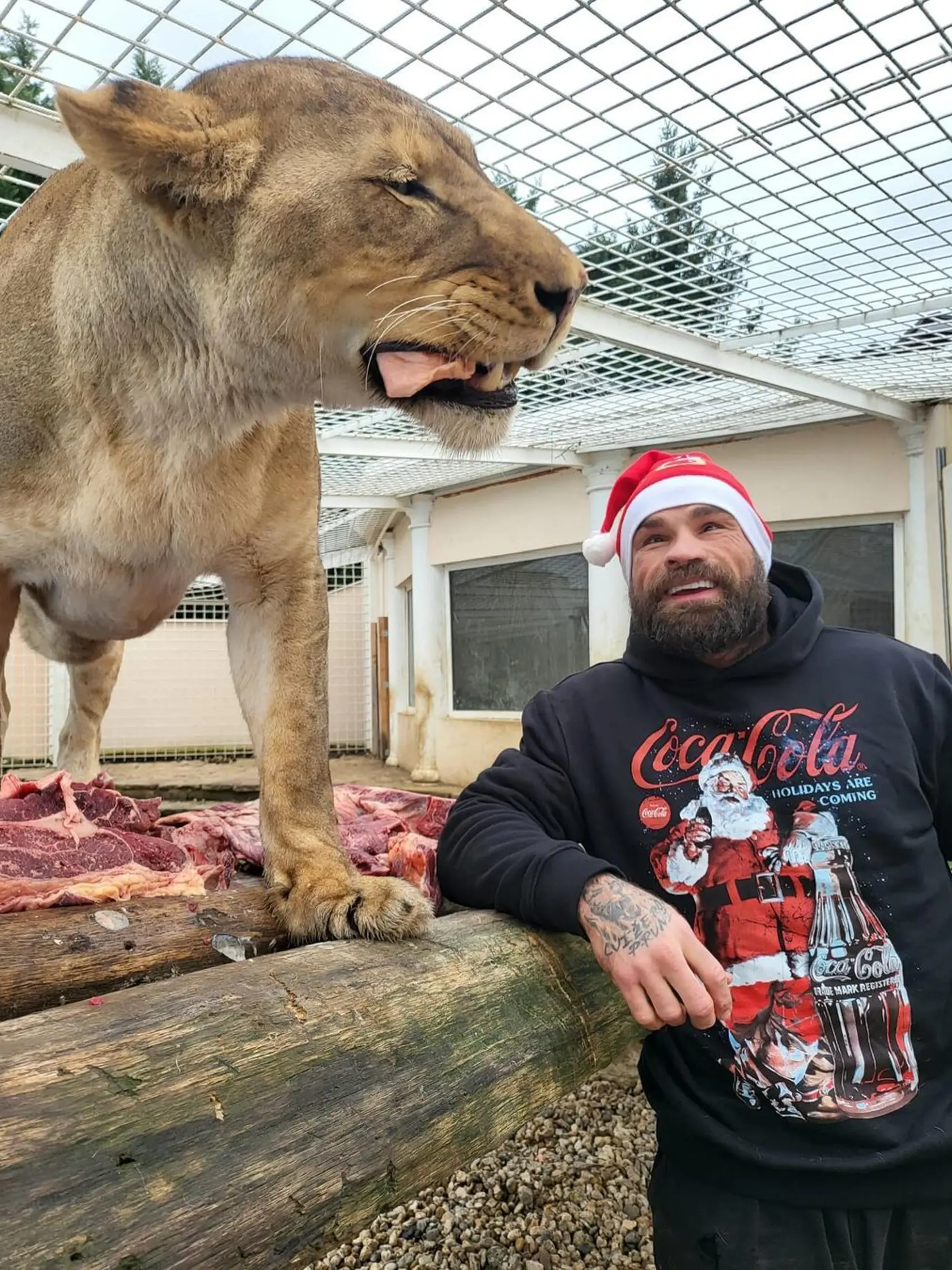 Vémola má vo svojej vile hotovú zoo, v ktorej chová levy či tigre. Lela z divokých zvierat strach nemá.