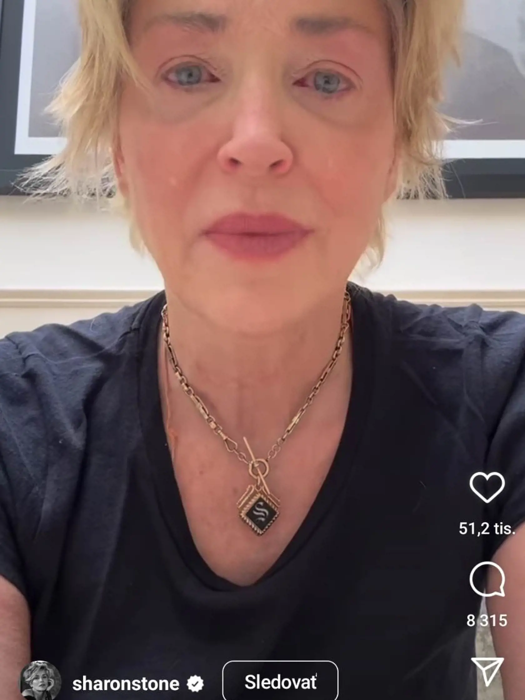 Sharon Stone potvrdila smrť brata Patricka v slzách.