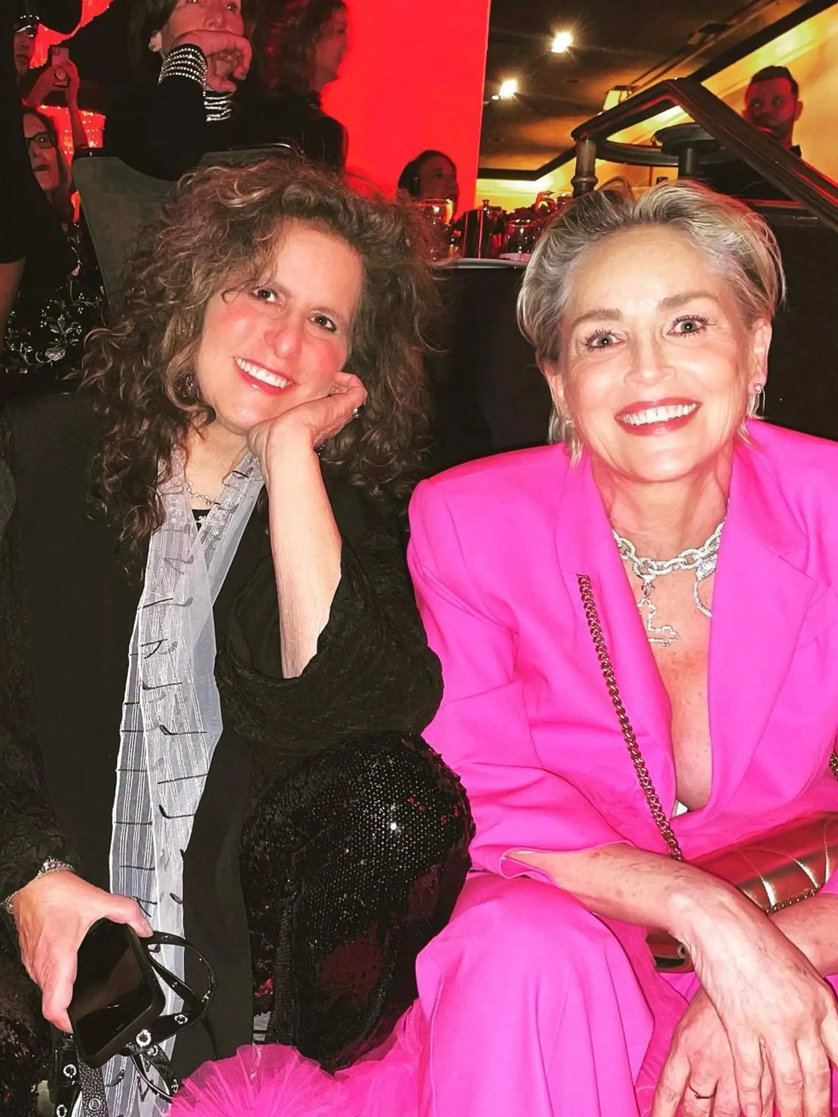 Slávna herečka SHARON STONE, ktorá práve oslavuje 65. narodeniny, sa však vždy pozviechala a kráčala ďalej.