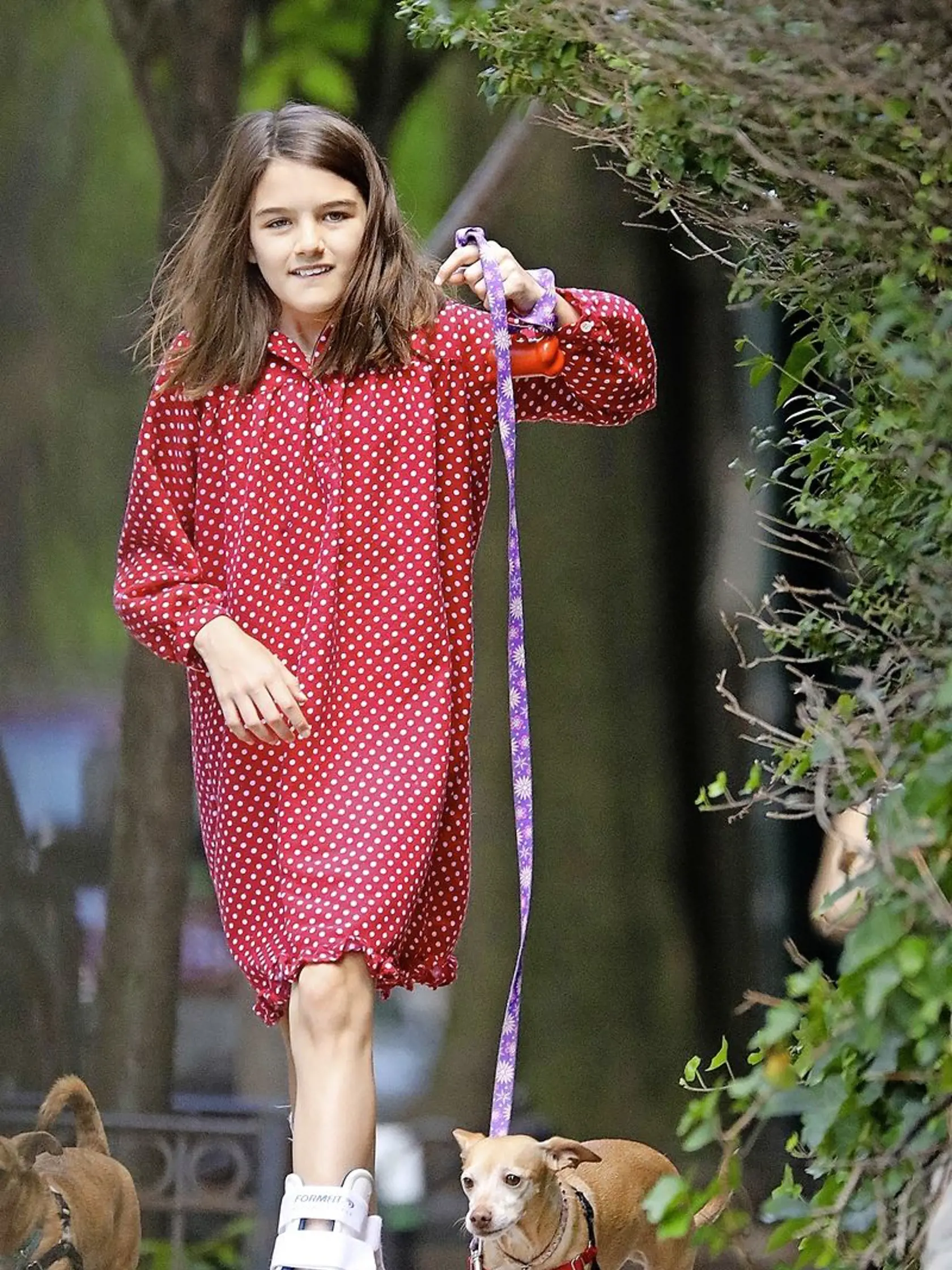 Suri Cruise