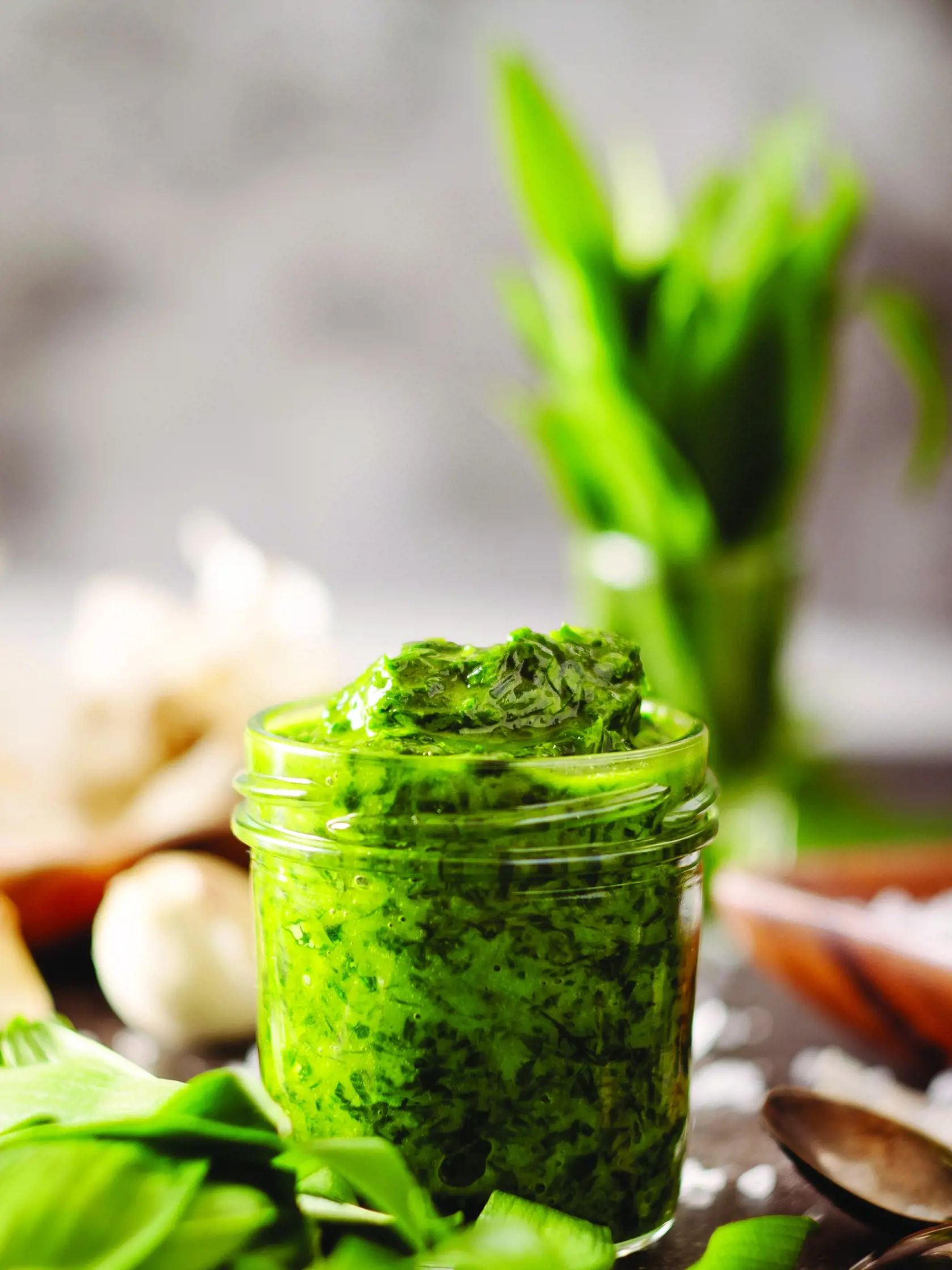 Pesto z medvedieho cesnaku
