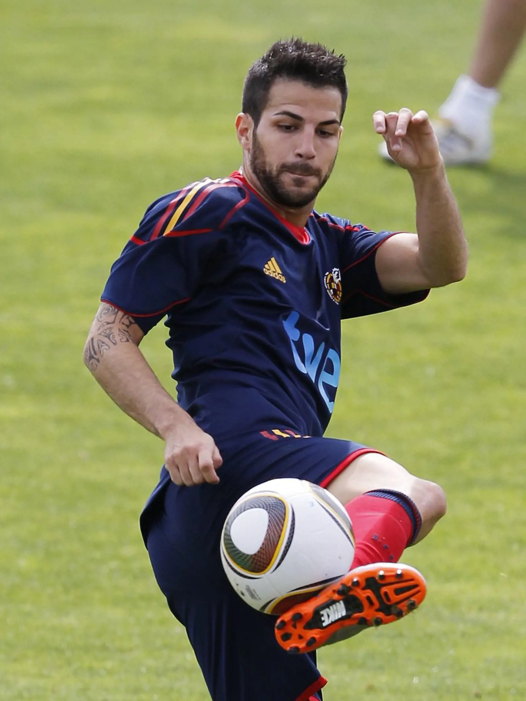 Cesc Fabregas