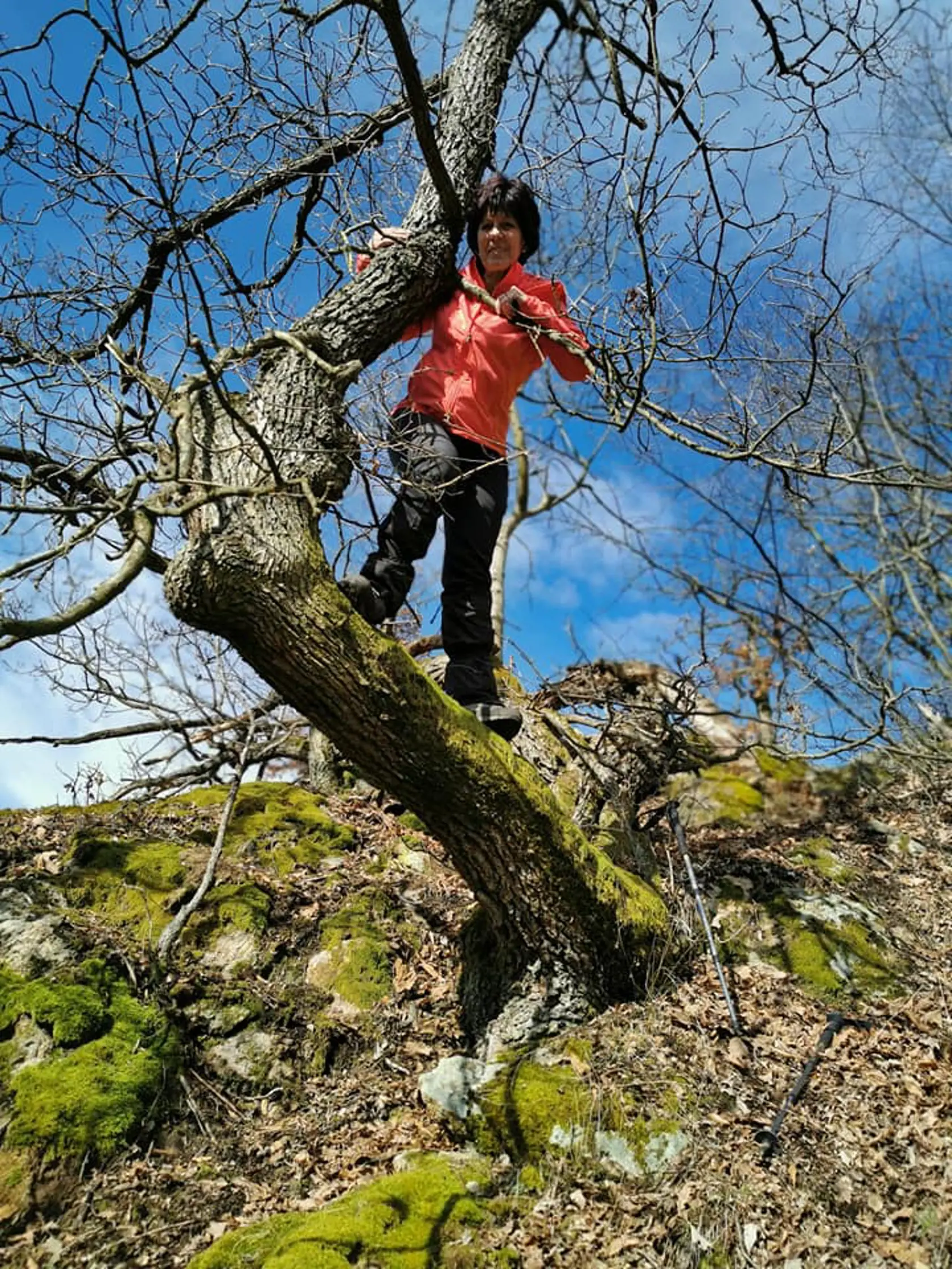 Vo voľnom čase sa Mária venuje najmä turistike a športu.
