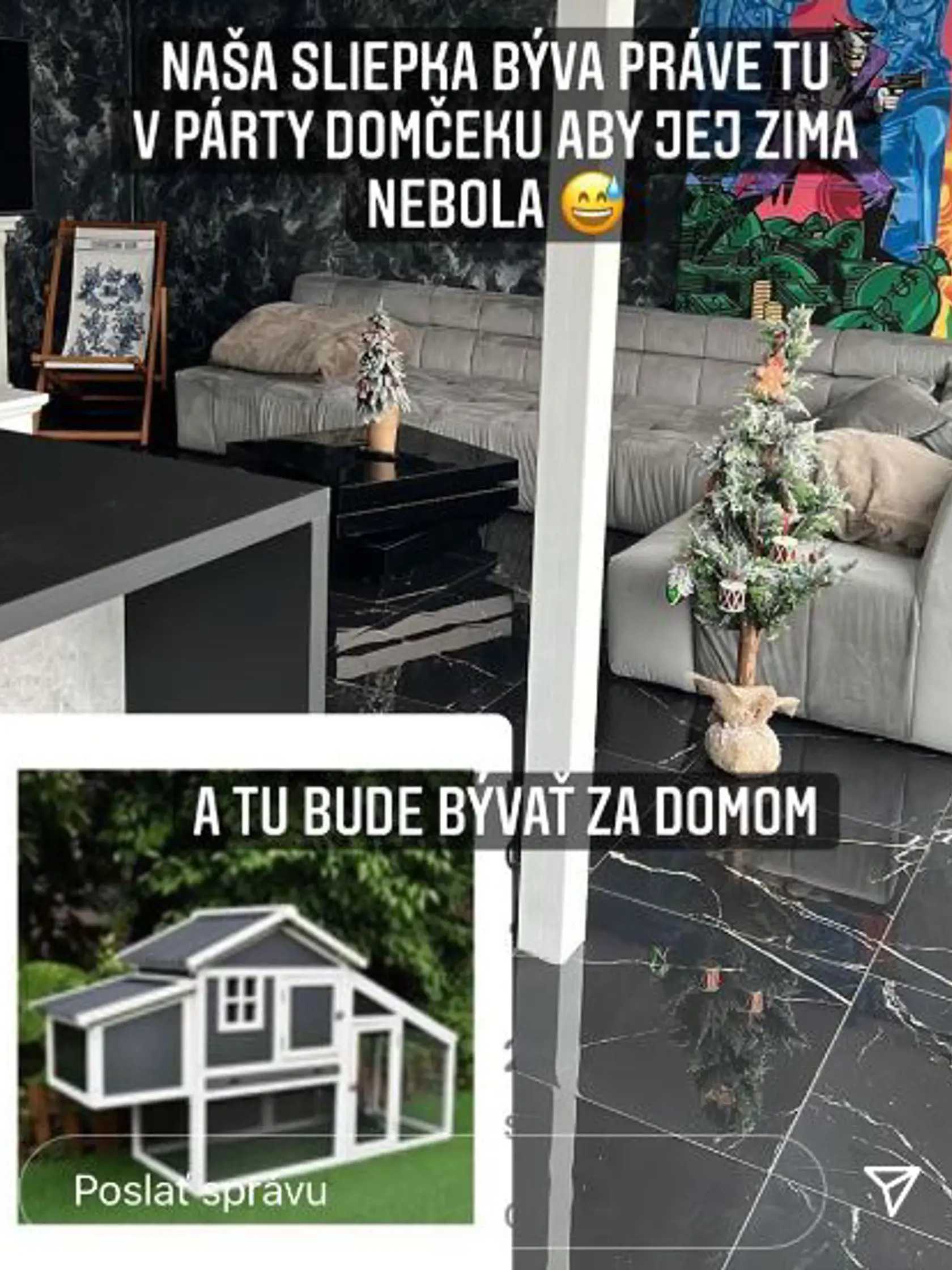 Sliepka Irenka bývala ako kráľovná.