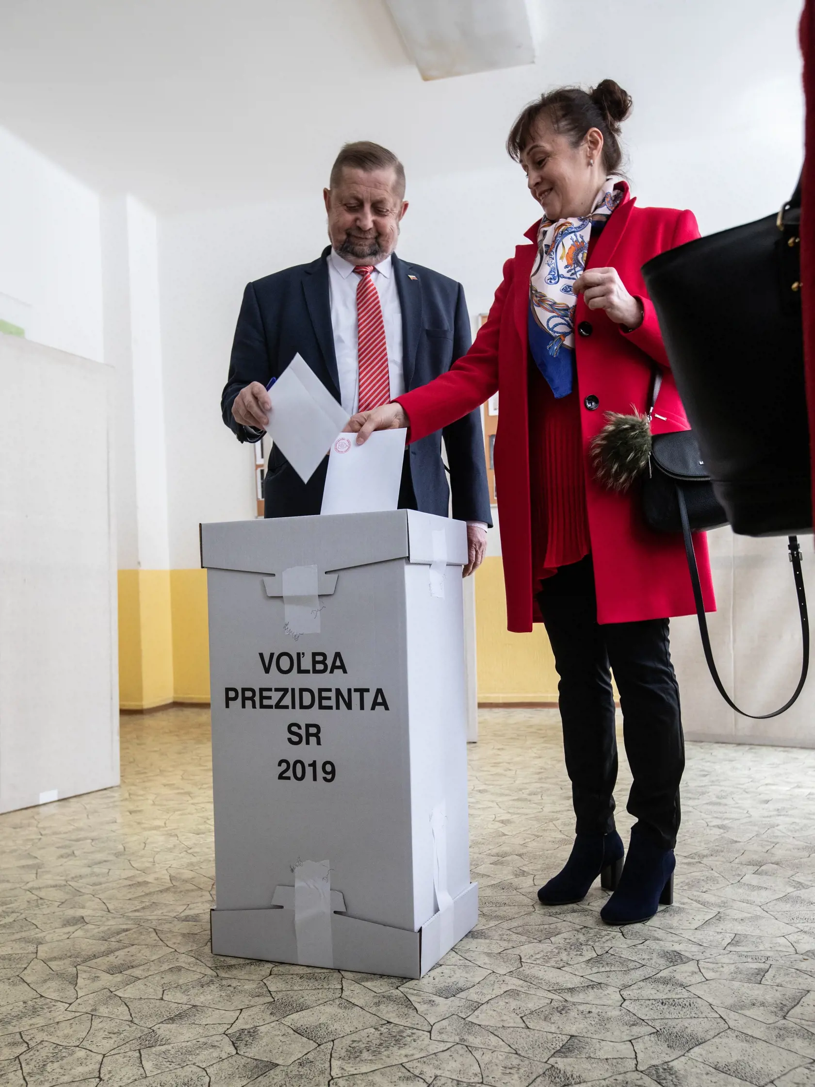 Po oboch kolách volieb podal Harabin na Ústavný súd sťažnosť a označil marcové víťazstvo Čaputovej za nezákonné a neústavné a navrhol voľby vyhlásiť za neplatné.