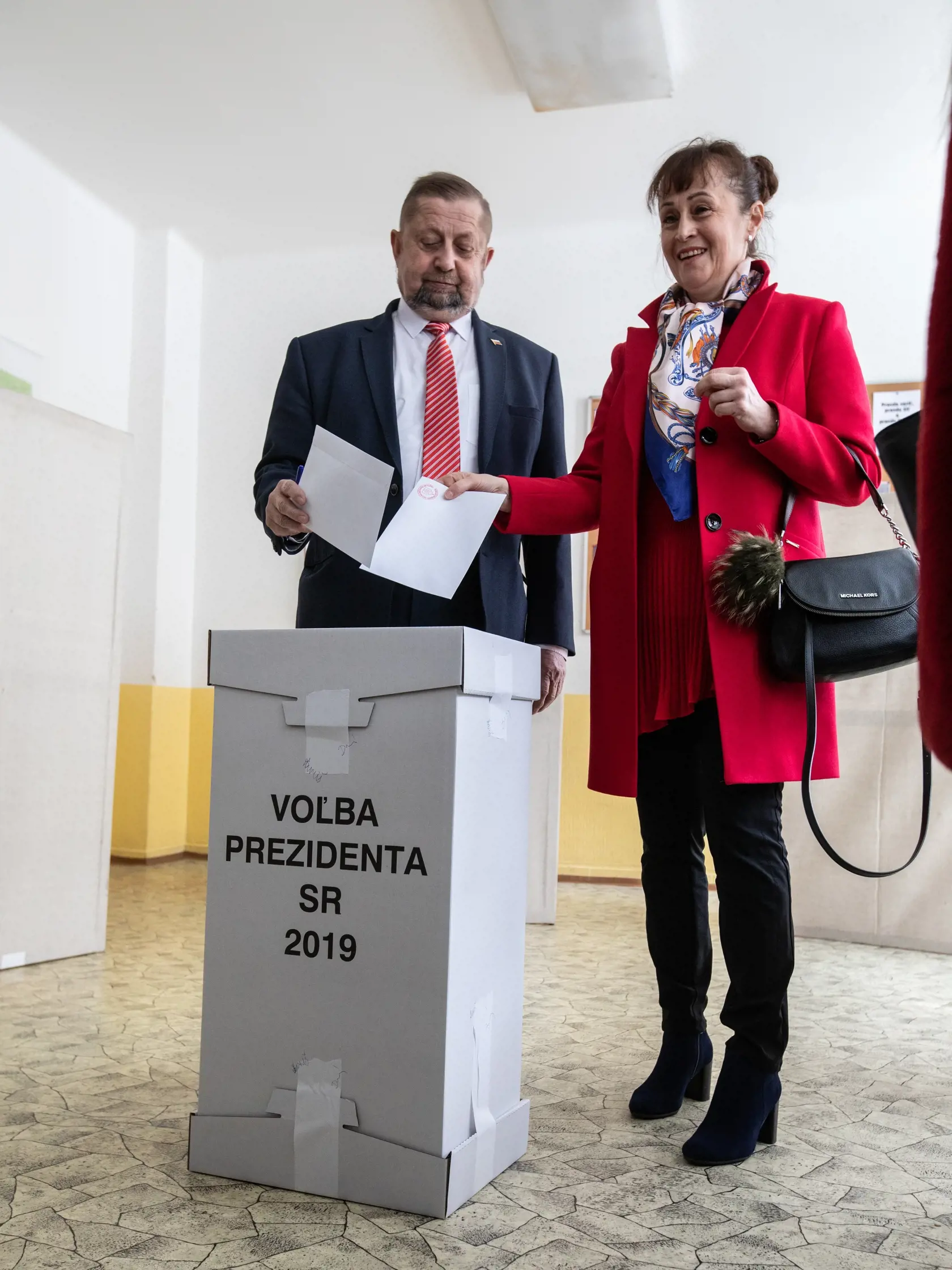 Po oboch kolách volieb podal Harabin na Ústavný súd sťažnosť a označil marcové víťazstvo Čaputovej za nezákonné a neústavné a navrhol voľby vyhlásiť za neplatné.