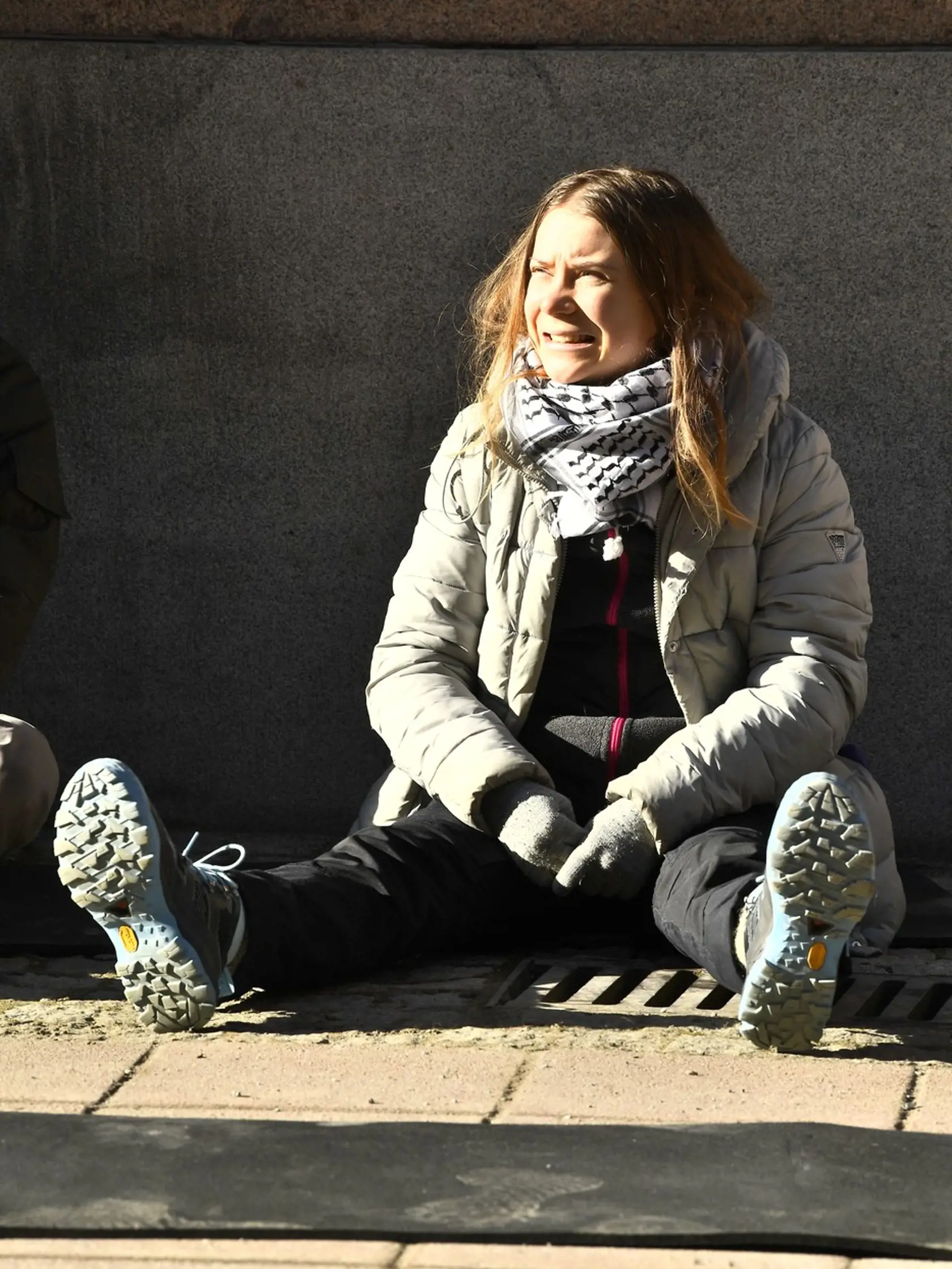 Štokholmská polícia odviedla od vchodu do budovy švédskeho parlamentu Gretu Thunbergovú a niekoľko ďalších klimatických aktivistov, ktorí tam protestovali a blokovali vstup.