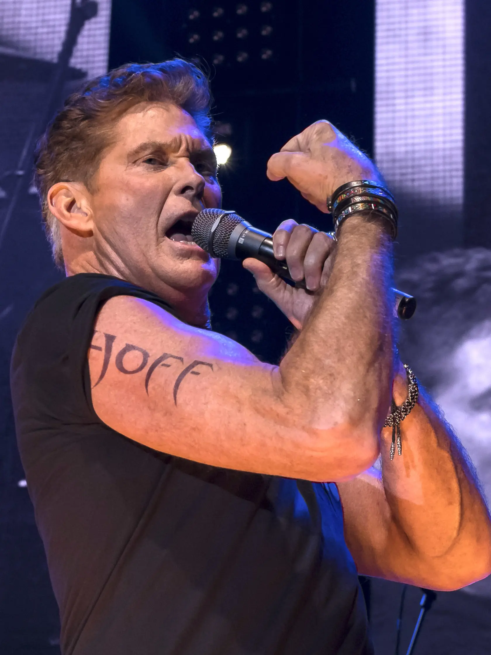 David Hasselhoff