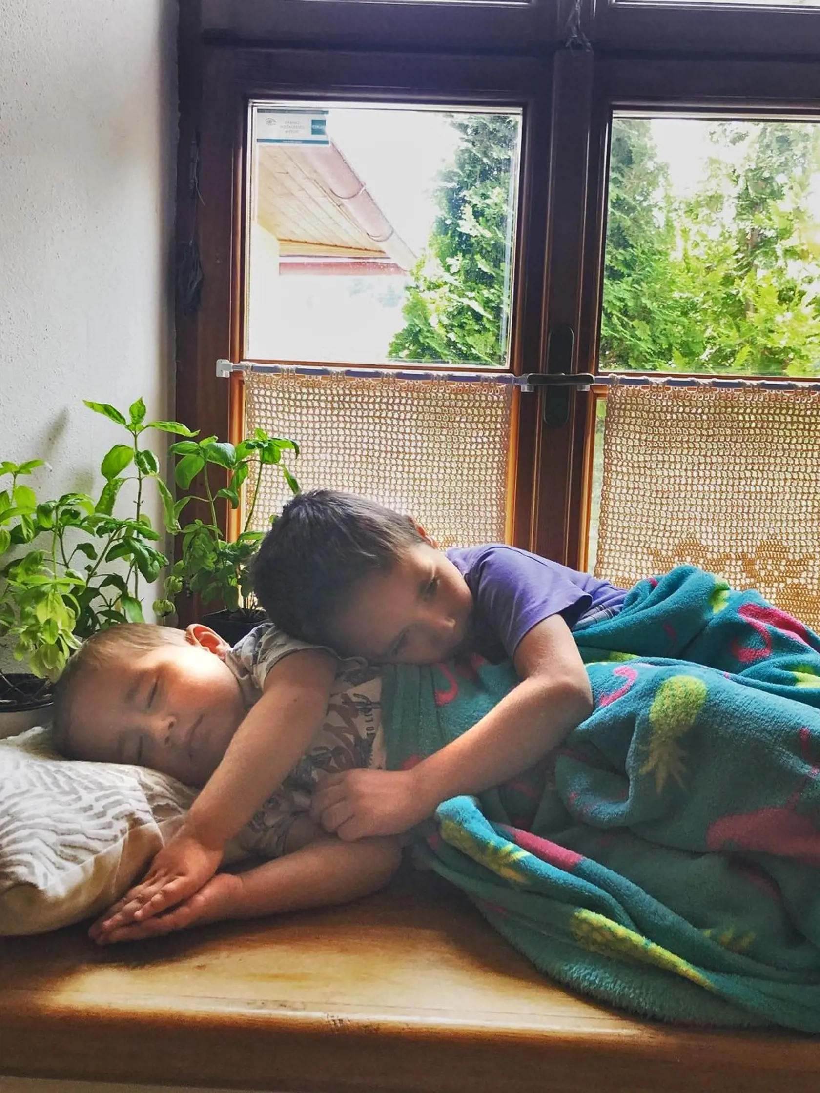 Najlepšie sa spí na parapete. Táto fotka chytí za srdce! Takto jej malí princovia už vyrástli.