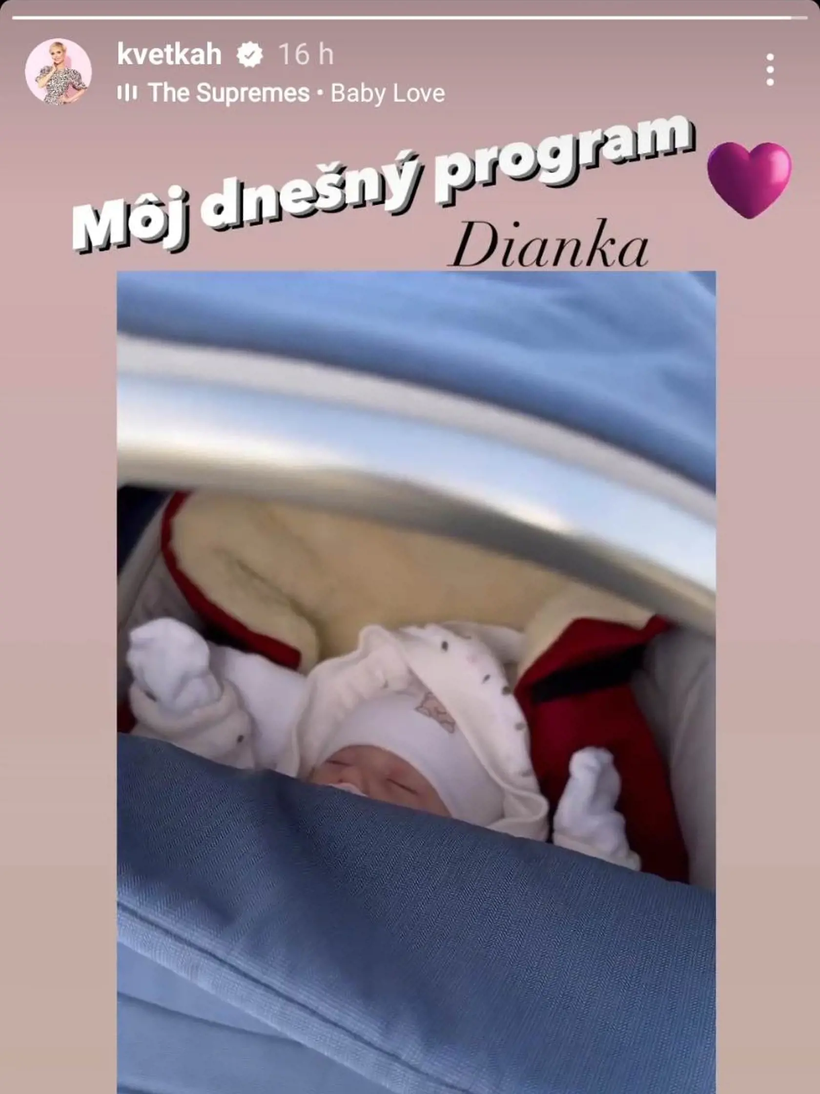 Kvetka si užila aj kočíkovanie.