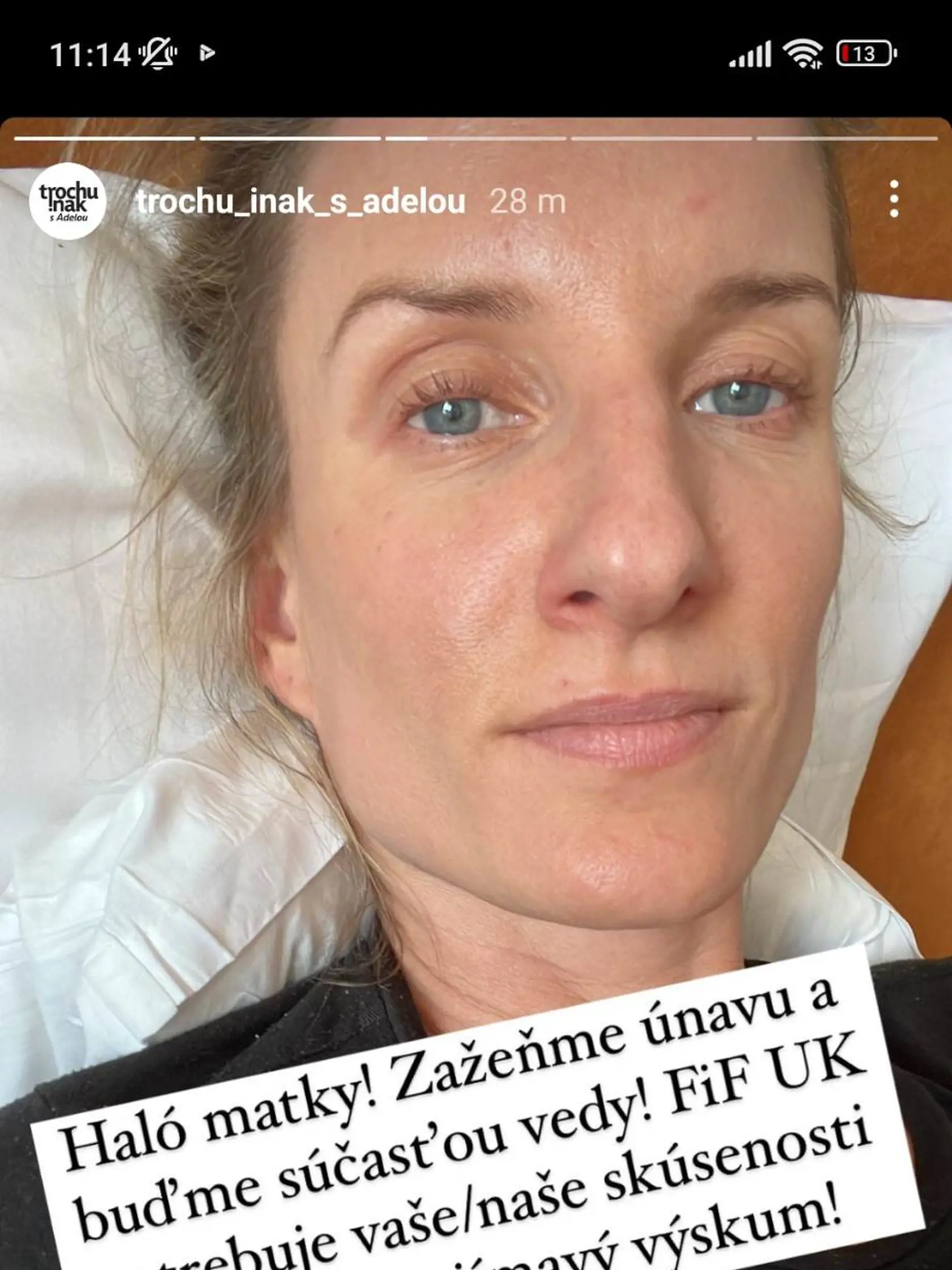 Adele dáva materstvo zabrať.