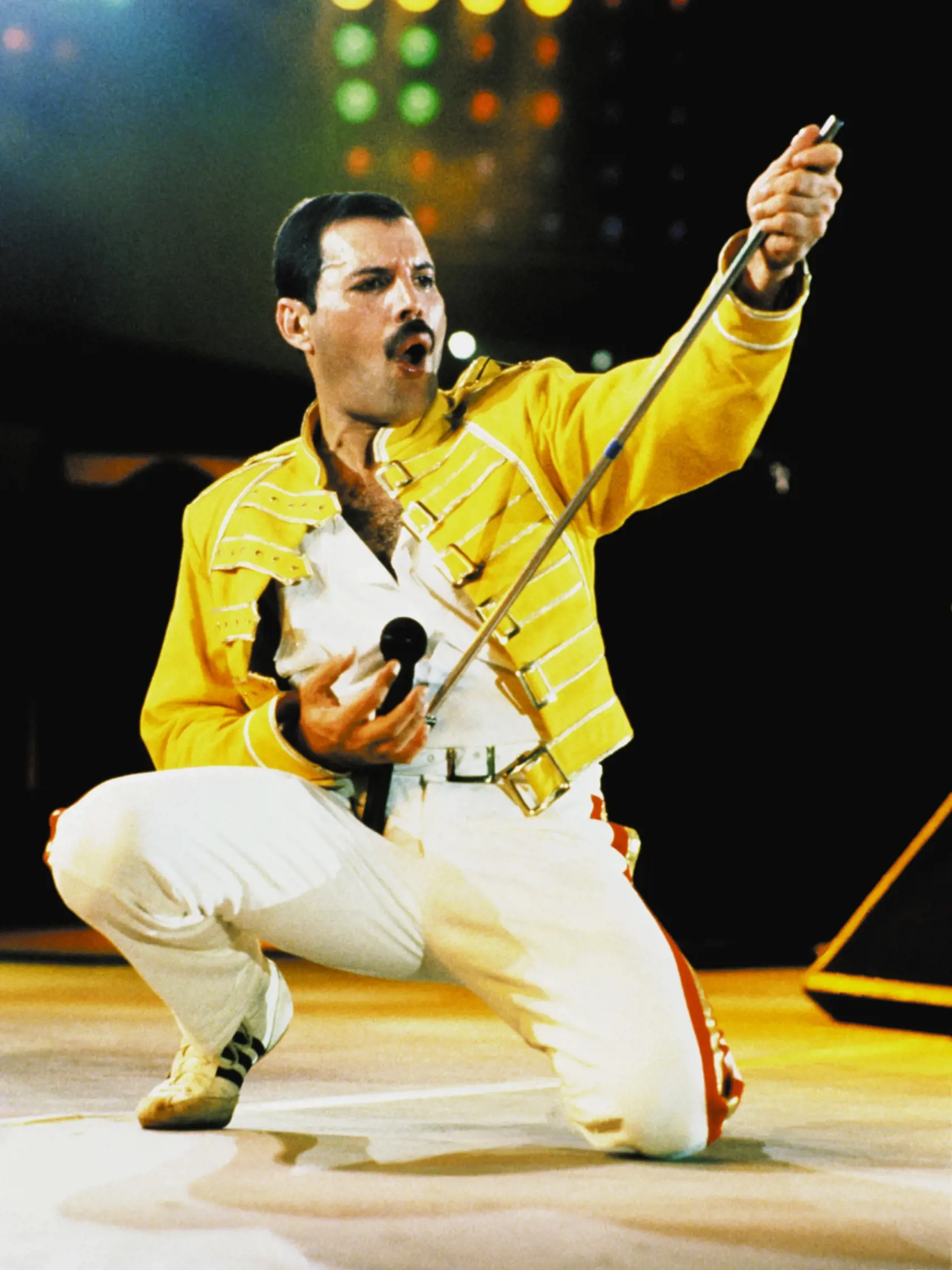 Freddie Mercury v roku 1985 na koncerte Live Aid vo Wembley.
