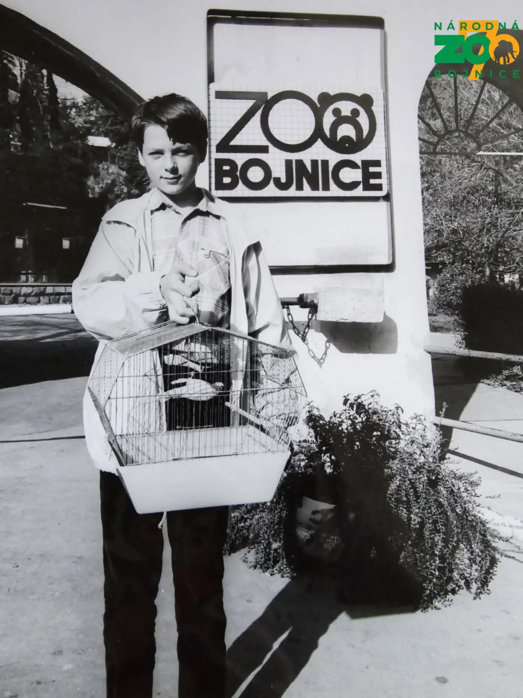 V minulosti sa zvykli jubilejní návštevníci obdarúvať v zoo Bojnice aj malými zvieratami. Neskôr od tohto zvyku upustili.