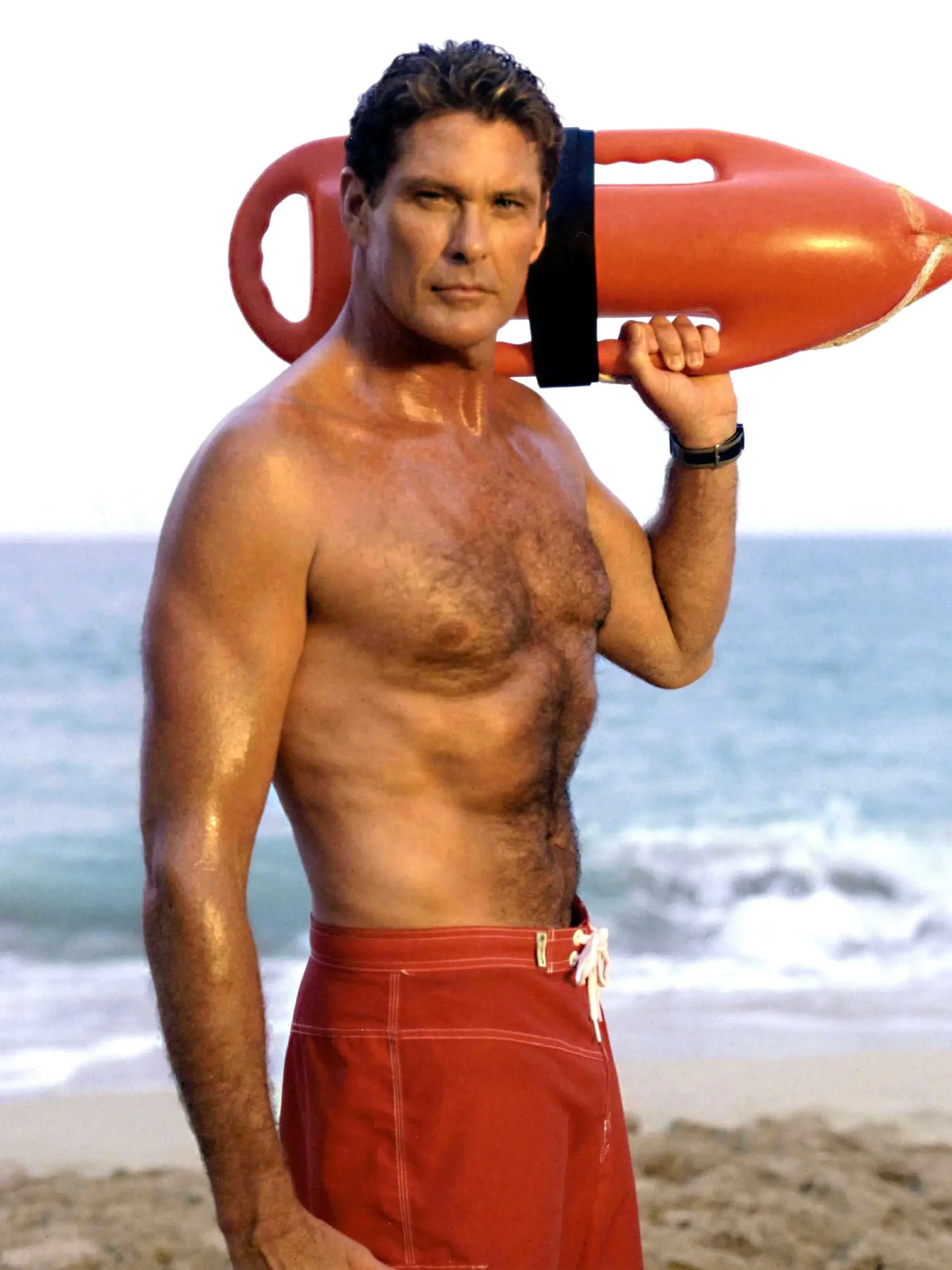 David Hasselhoff
