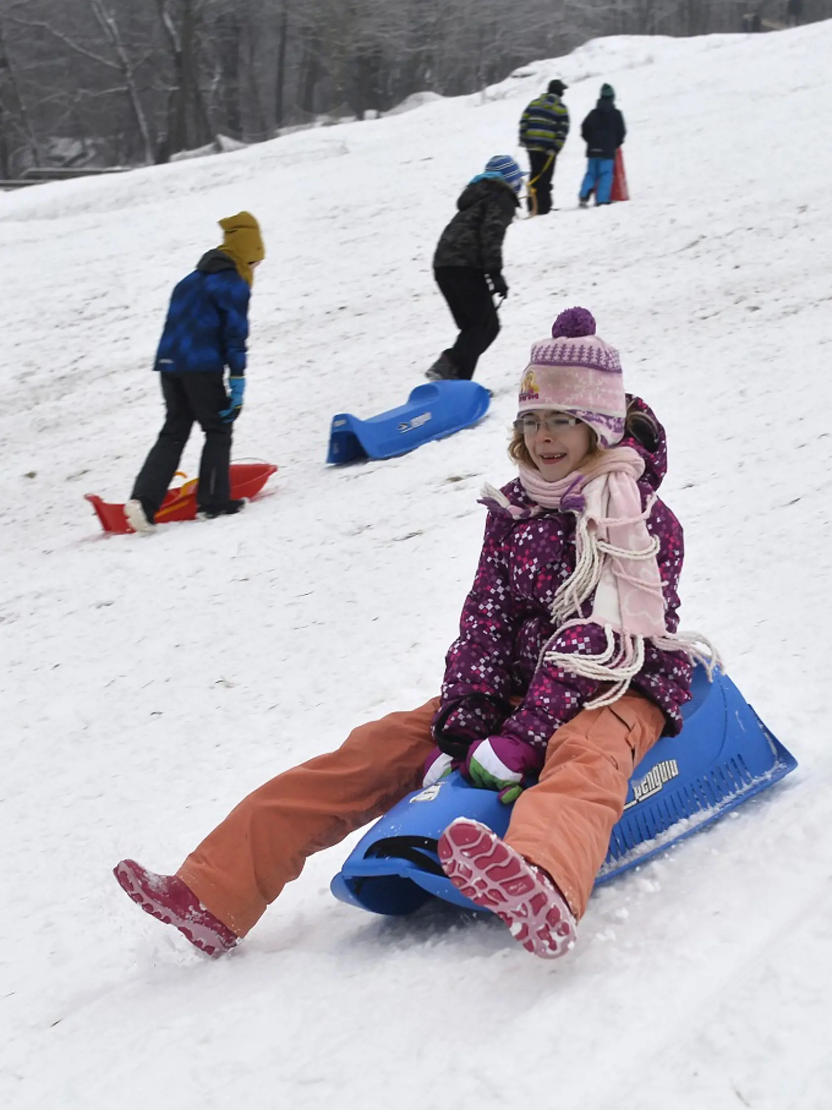 Jedno z najnižšie položených lyžiarských stredísk na Slovensku,  Ski centrum Kálnica - Piesky s nadmorskou výškou 245 m.n.m začalo so zasnežovaním. Ak budú poveternostné podmienky priaznivé, lyžiarska sezóna by sa tu mala začať už o niekoľko dní. Prvý sneh si zatiaľ užívajú sánkujúce deti. FOTO TASR - Radovan Stoklasa, 2. januára 2016