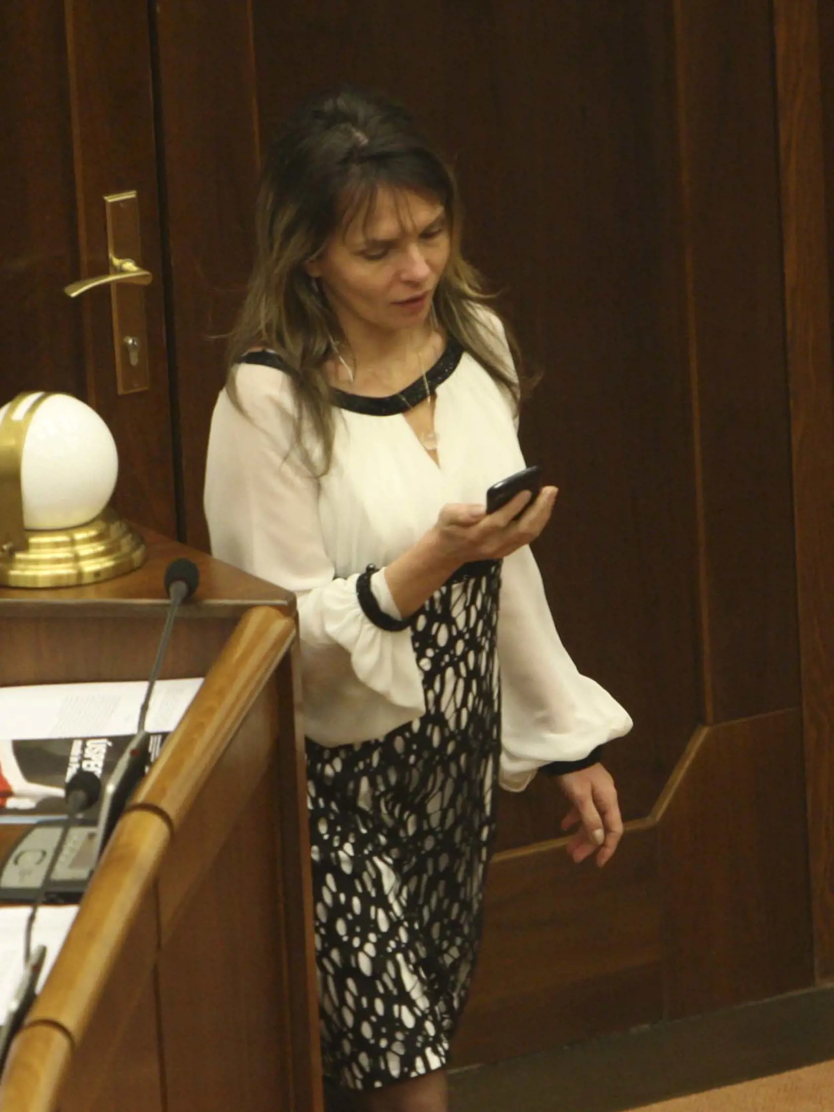 Parlament 11.12 2013
