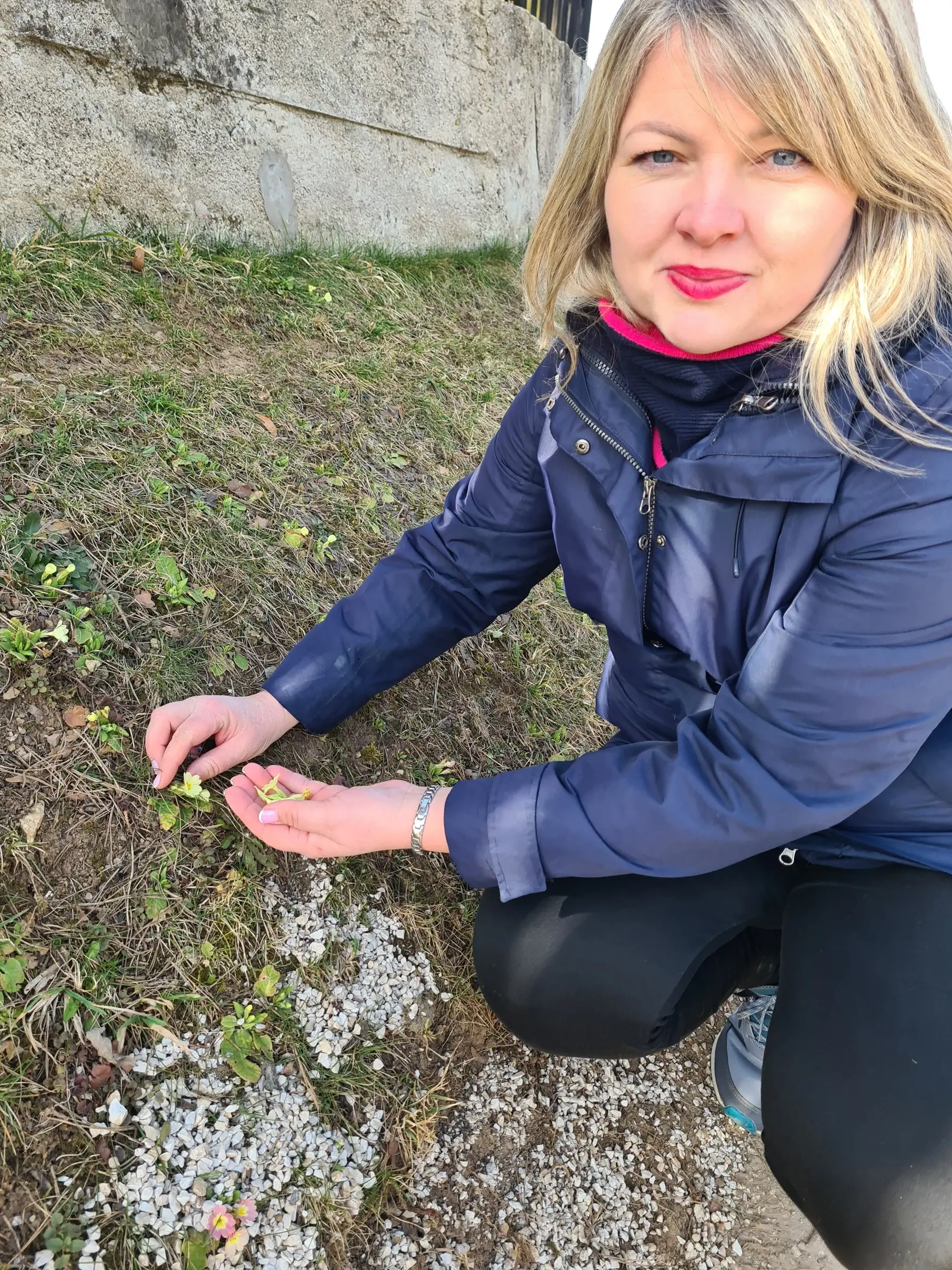 Katarína Künstler pri zbere byliniek