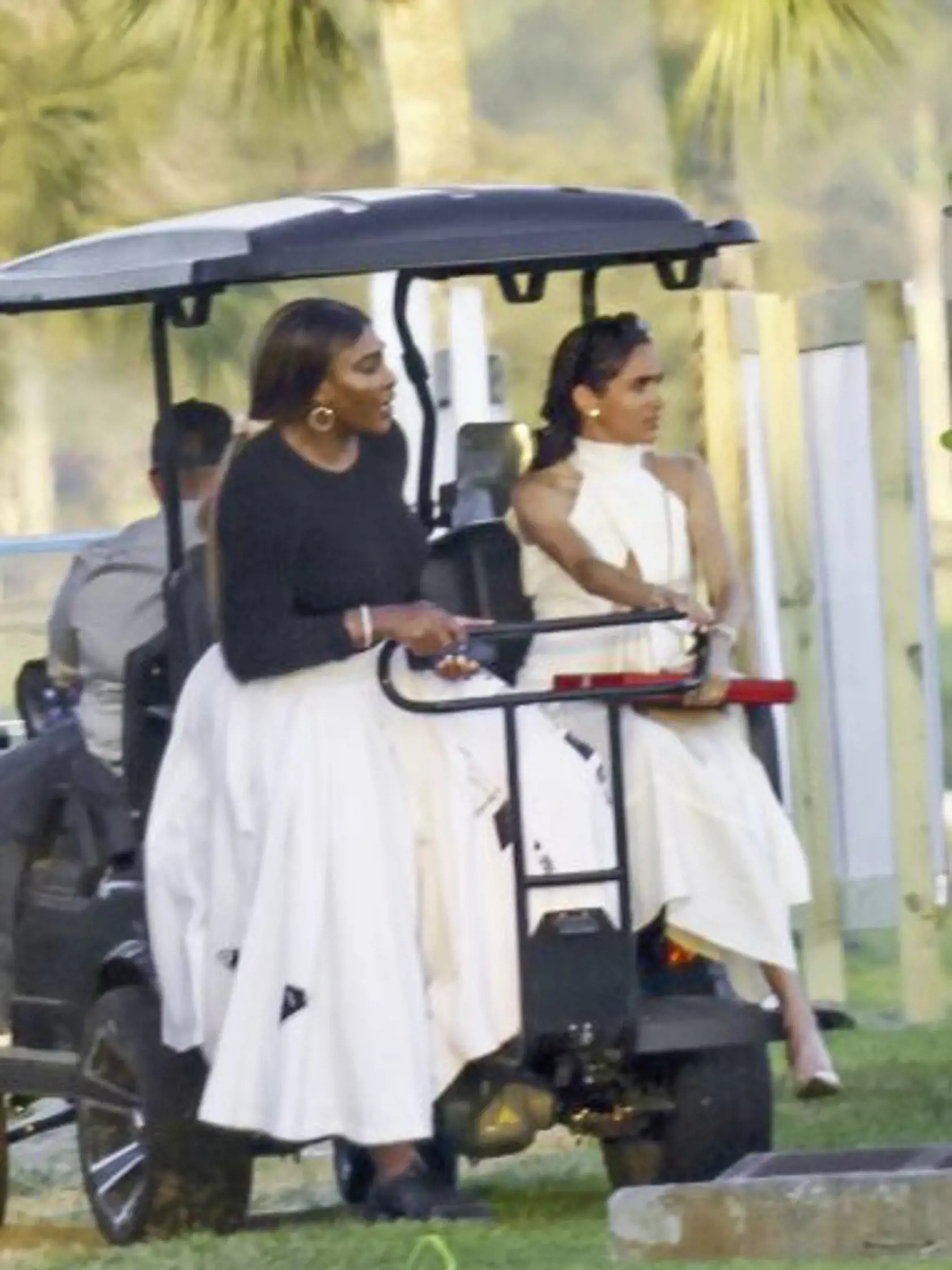 Idylickú reklamu na American Riviera Orchard v nádhernom dome a Meghan v kuchyni variacu dobroty čoskoro vystriedala poriadne ostrá kritika. Verejnosť sa začala obúvať predovšetkým do jej džemov. "Jedinou muchou je Meghanina nová internetová značka American Riviera Orchard. Meghan sa rozplakala, keď bola značka uvedená na trh a jej nový džem bol extrémne vysmiaty za to, že je vraj drahý a nie je ničím výnimočný," prezradil kráľovský expert a autor Tom Quinn.